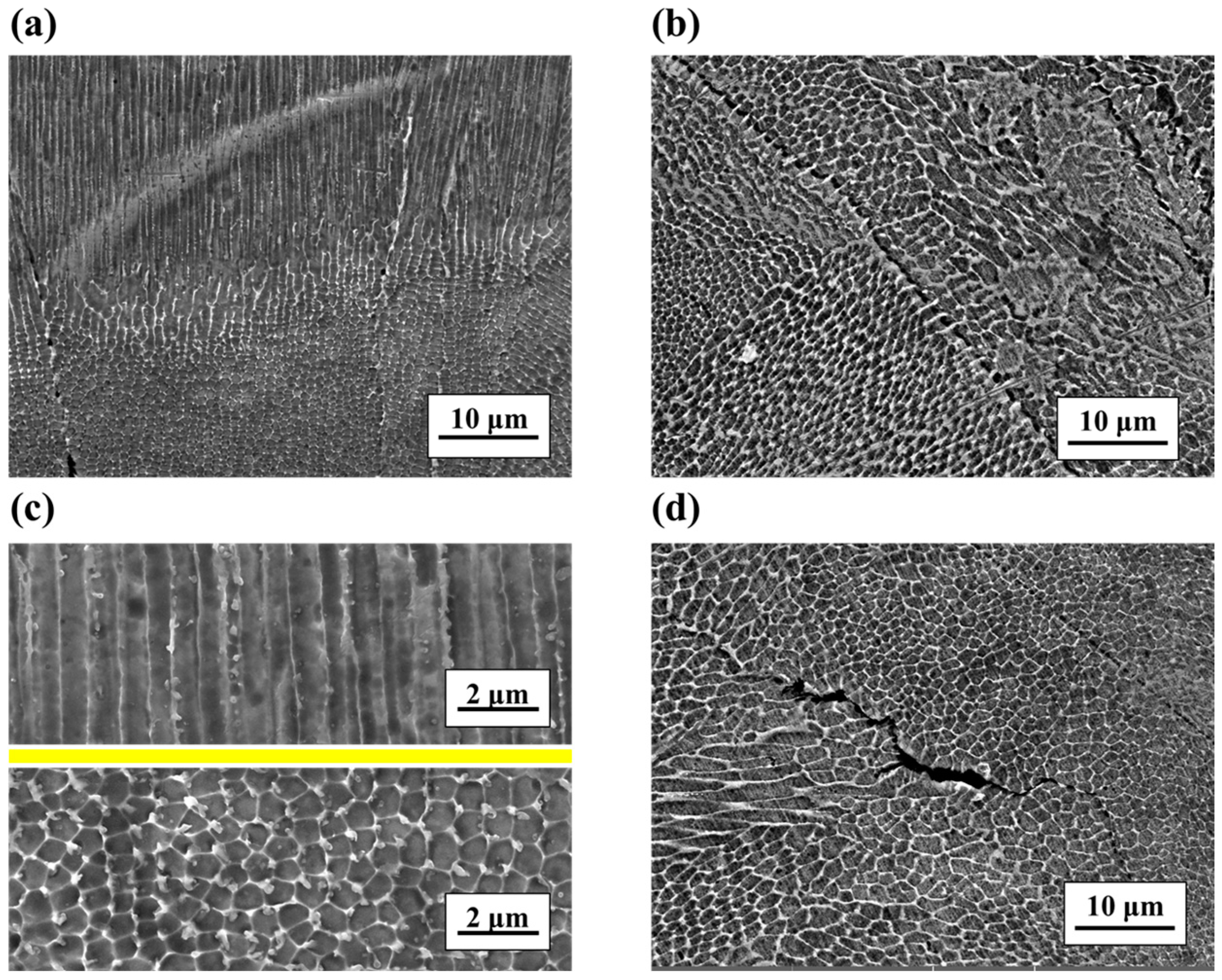 Micromachines 14 01206 g007