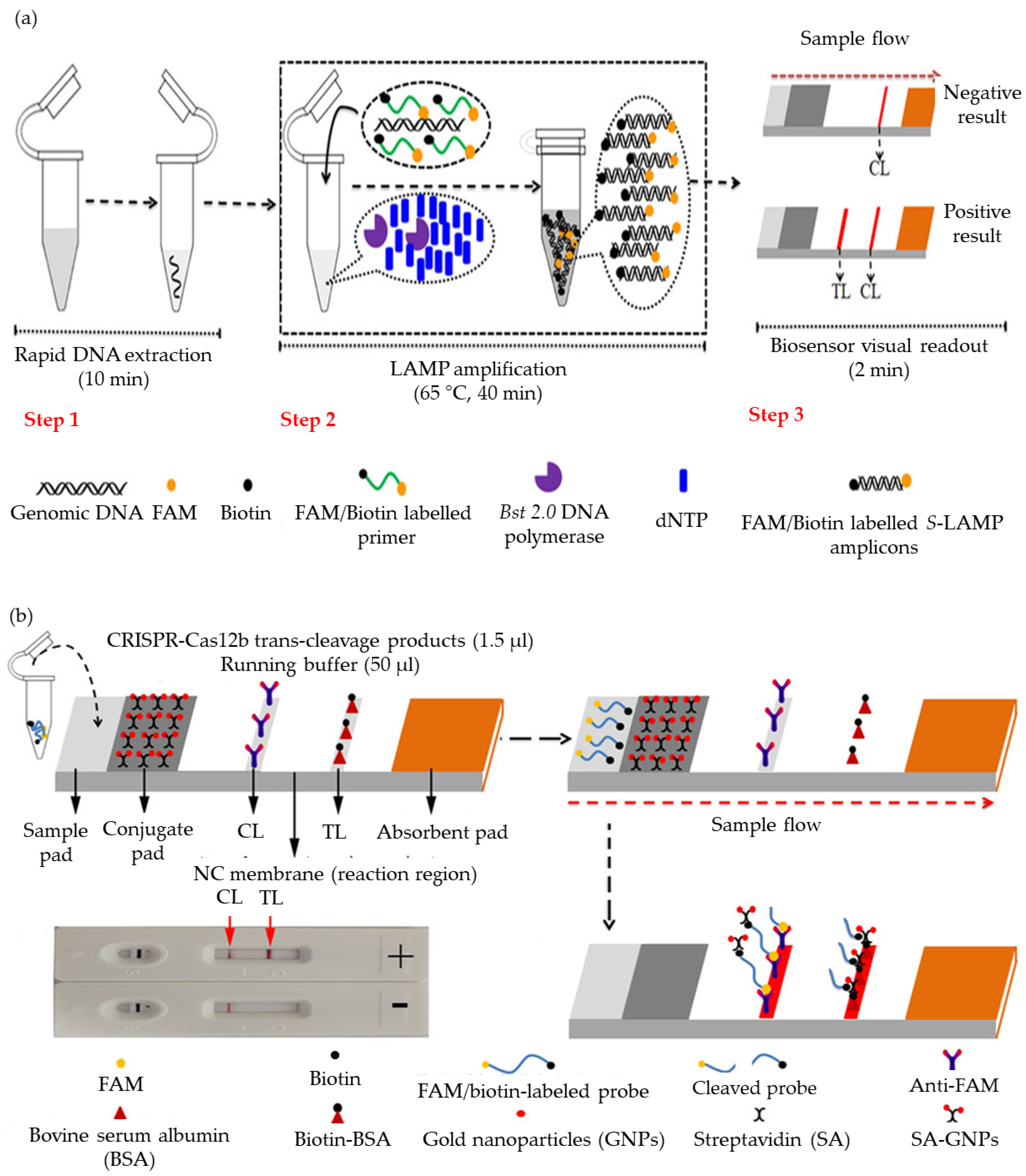 Micromachines 14 01239 g004