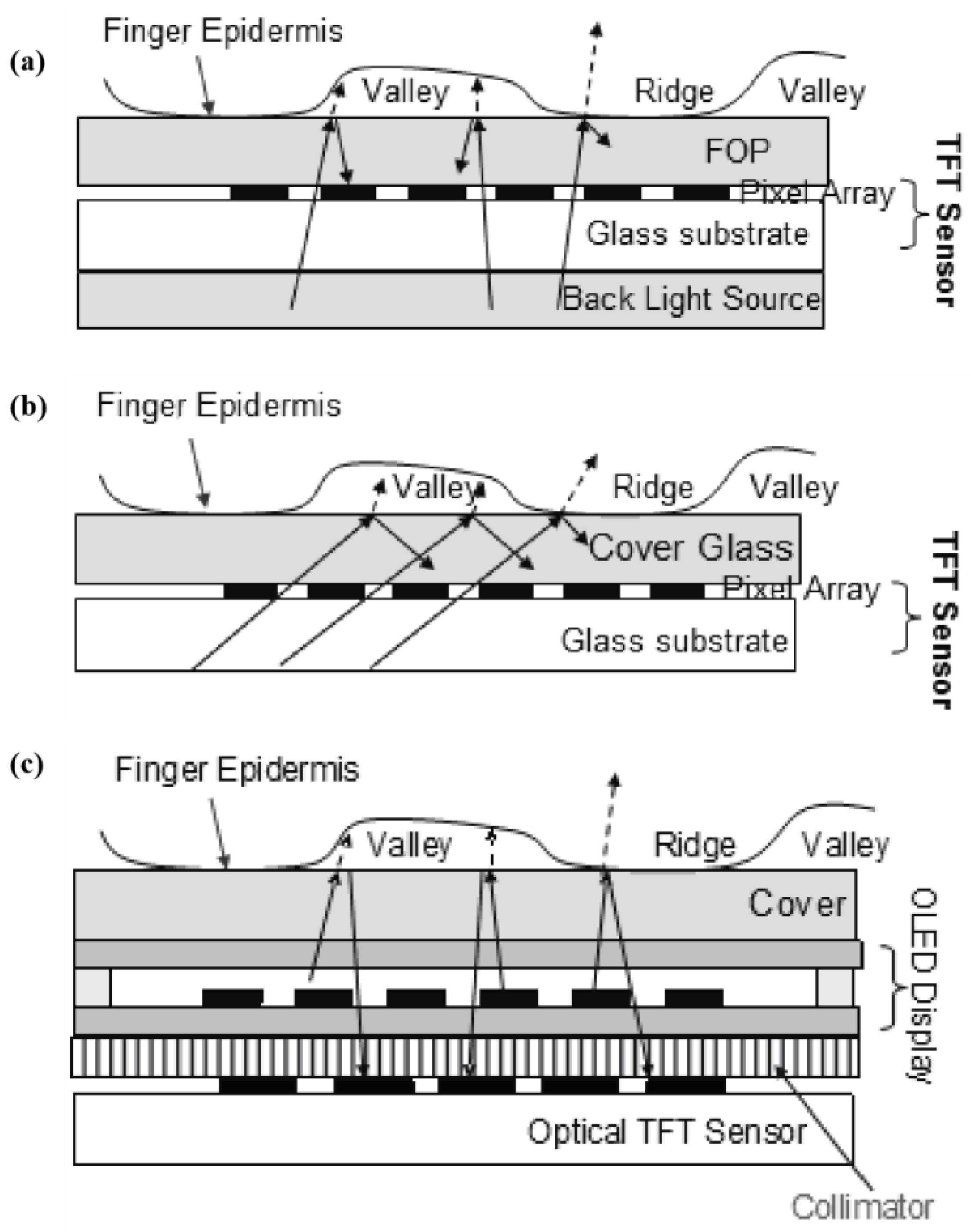 Micromachines Free FullText A Review of Fingerprint Sensors