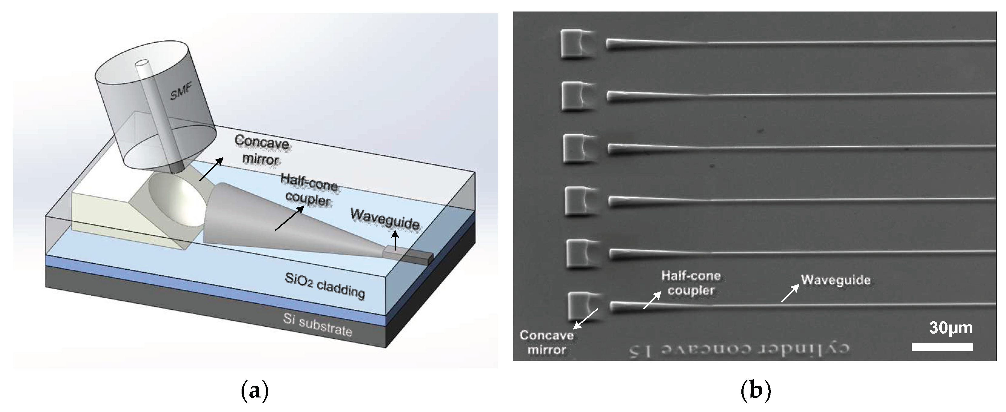 Micromachines Free FullText Design and Manufacture of Polarization