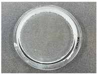 Micromachines 14 01270 i001