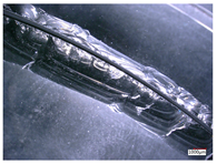 Micromachines 14 01270 i009