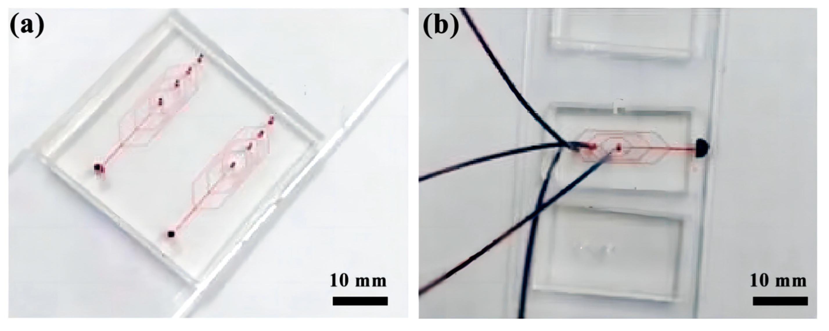 Micromachines 14 01277 g003 Micromachines 14 01277 g003