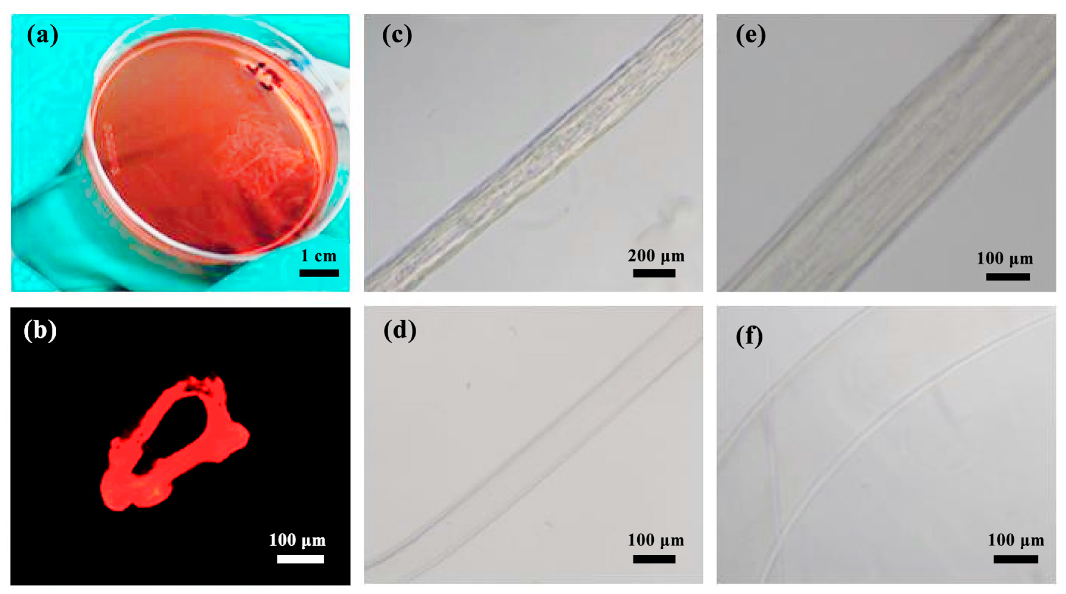 Micromachines 14 01277 g015 Micromachines 14 01277 g015
