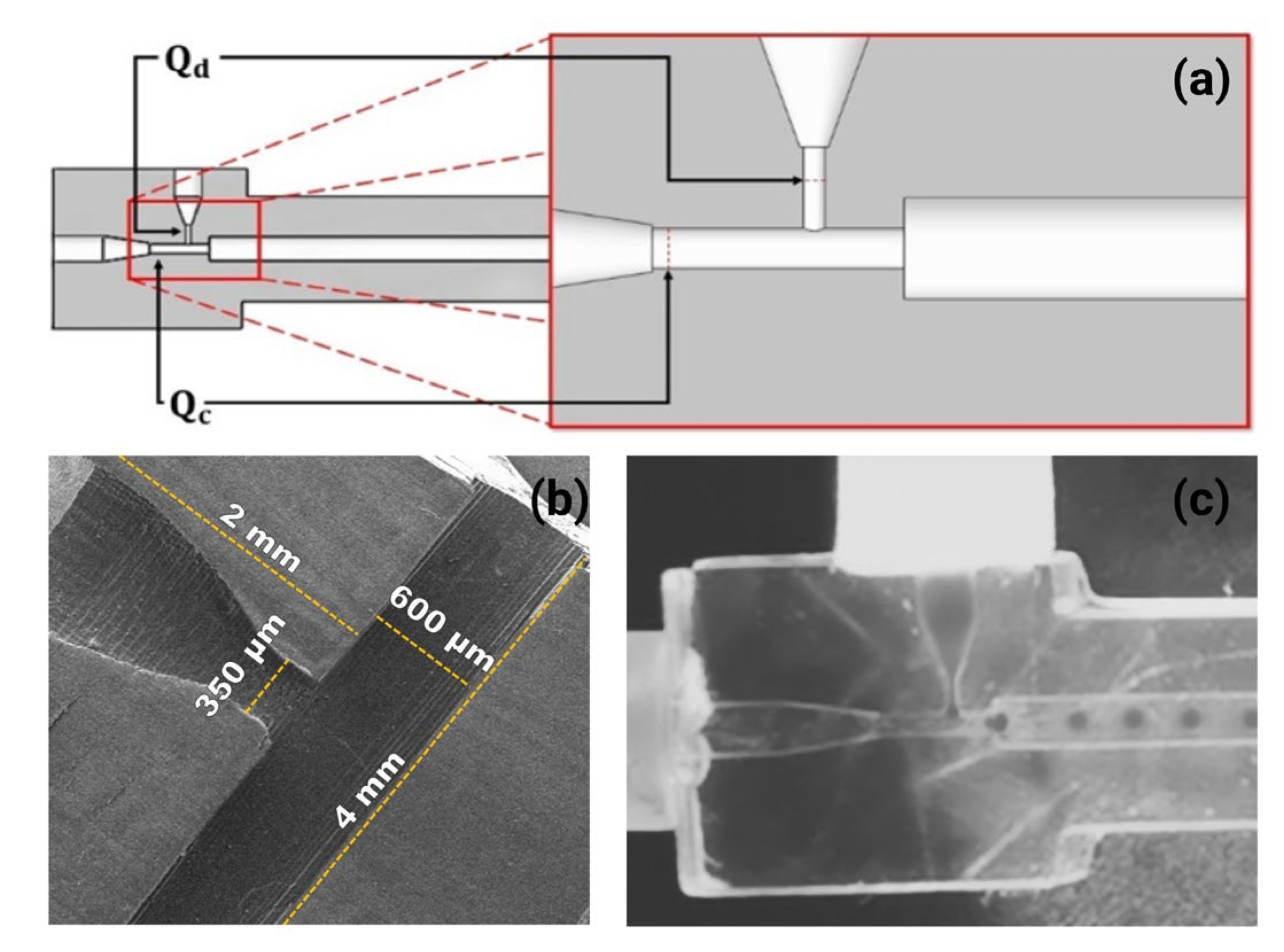 Micromachines 14 01279 g001 Micromachines 14 01279 g001