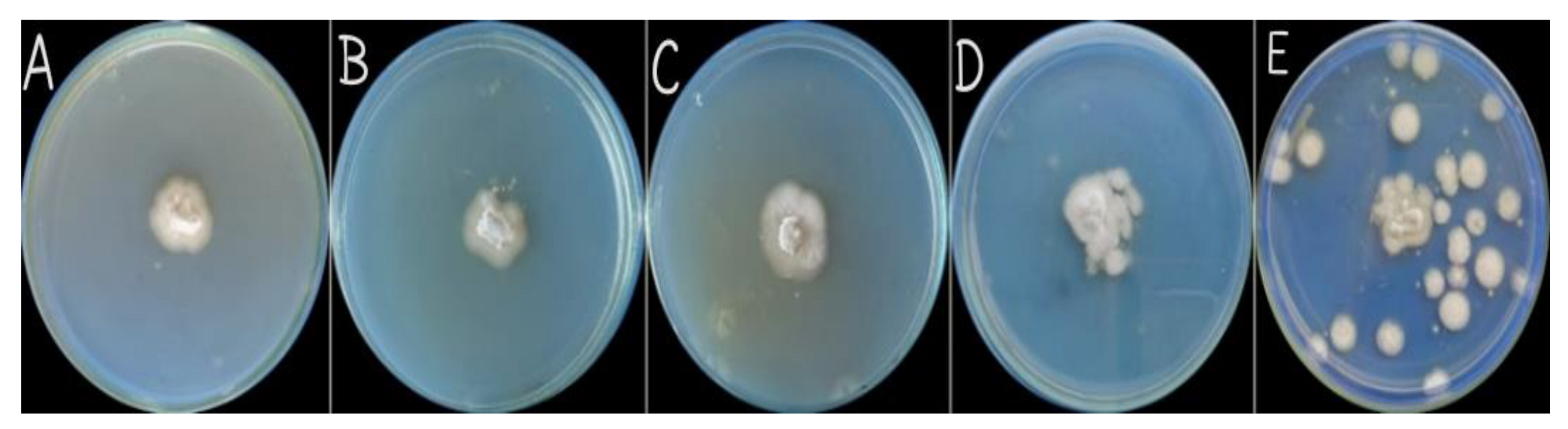 Micromachines 14 01285 g008 Micromachines 14 01285 g008