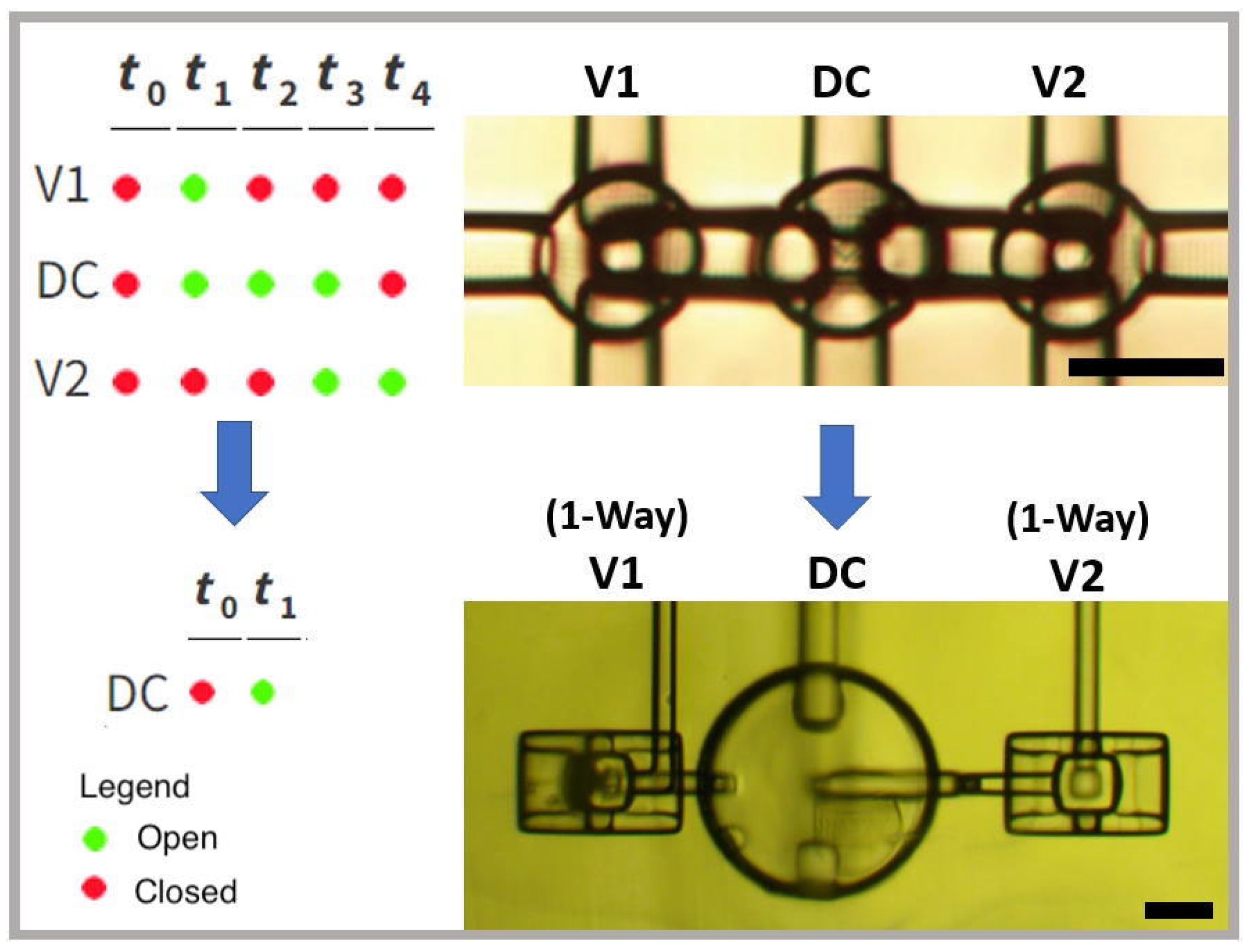 Micromachines 14 01286 g003 Micromachines 14 01286 g003