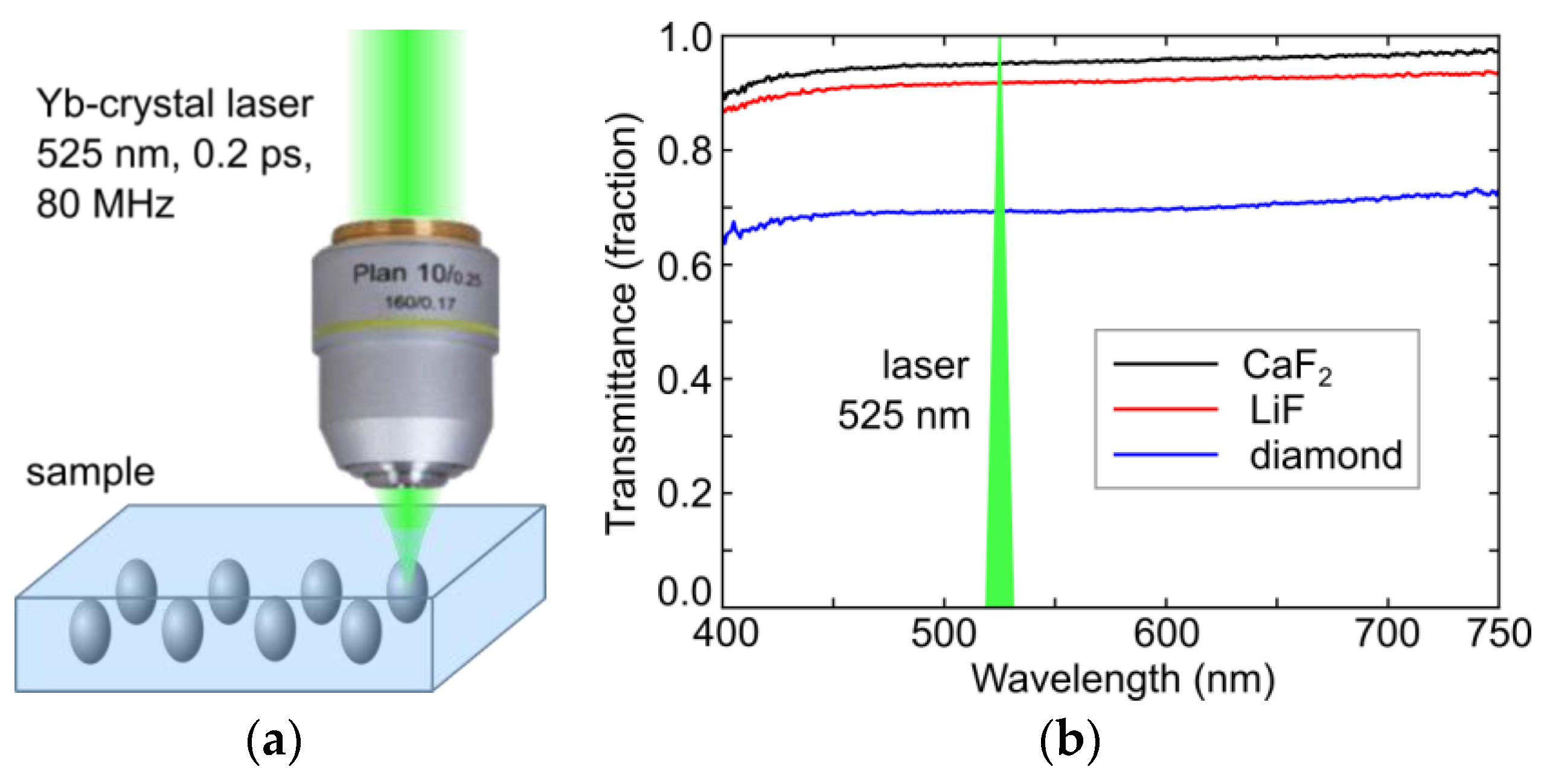 Micromachines 14 01300 g001