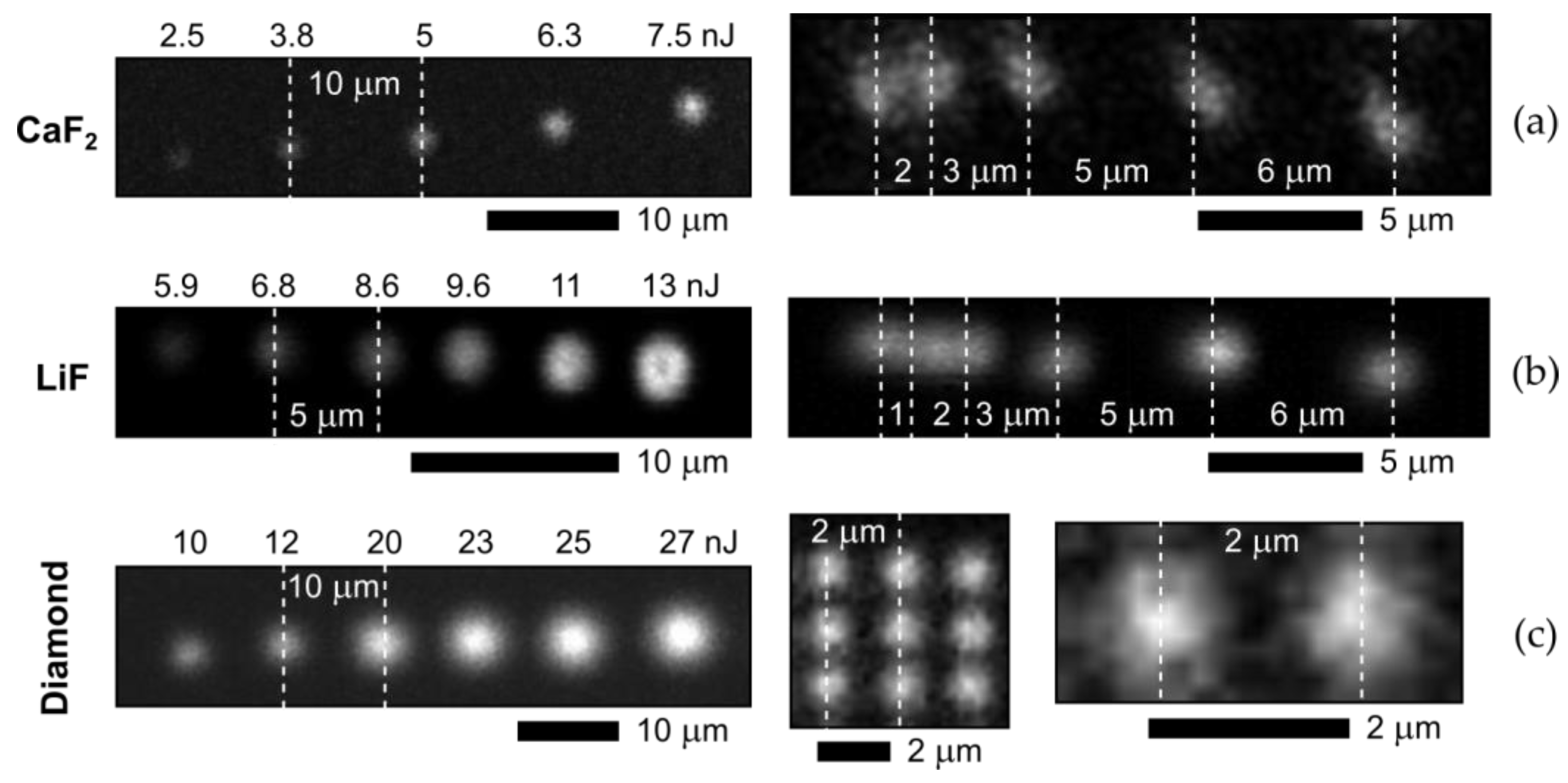 Micromachines 14 01300 g002