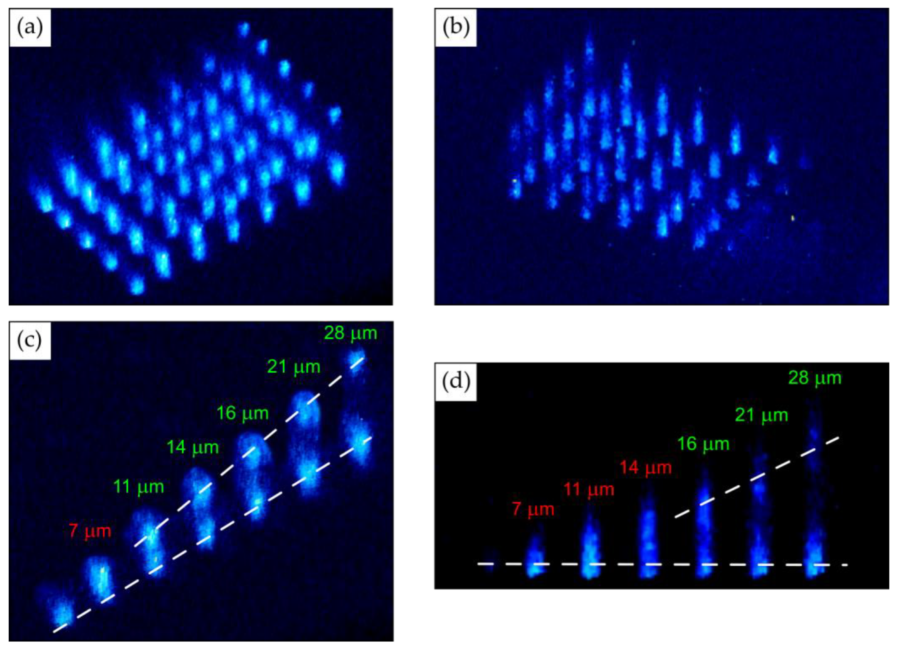 Micromachines 14 01300 g007