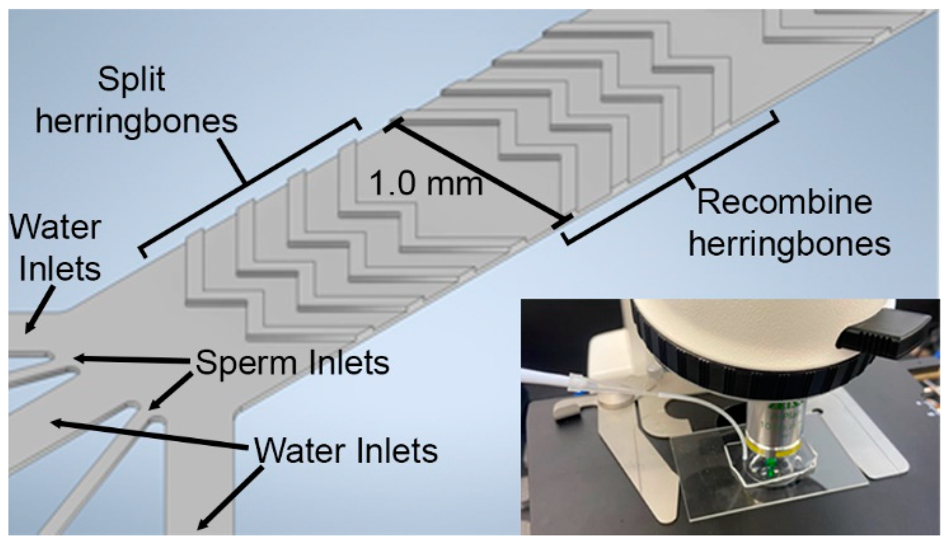 Micromachines 14 01310 g001
