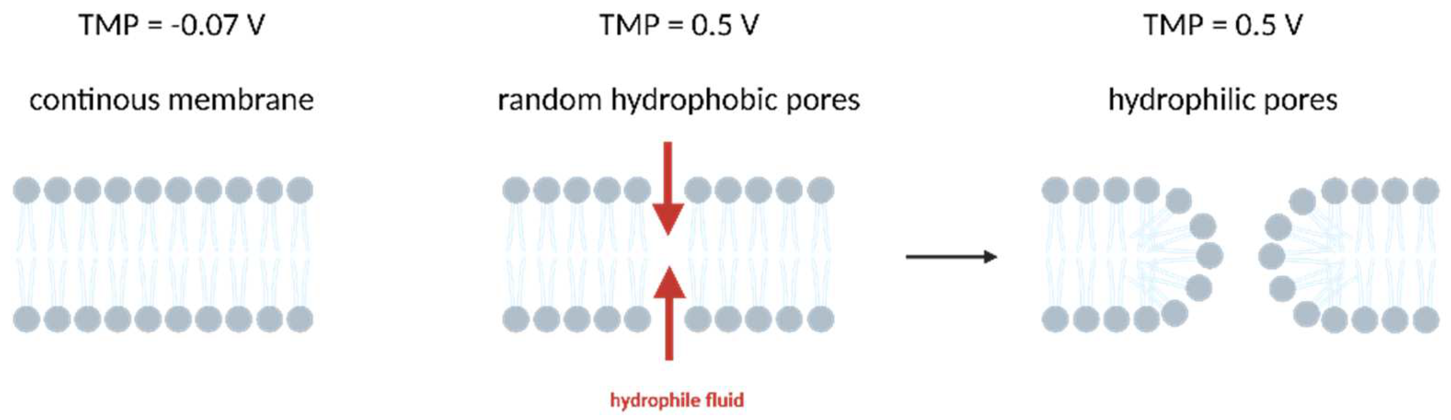 Micromachines 14 01321 g002