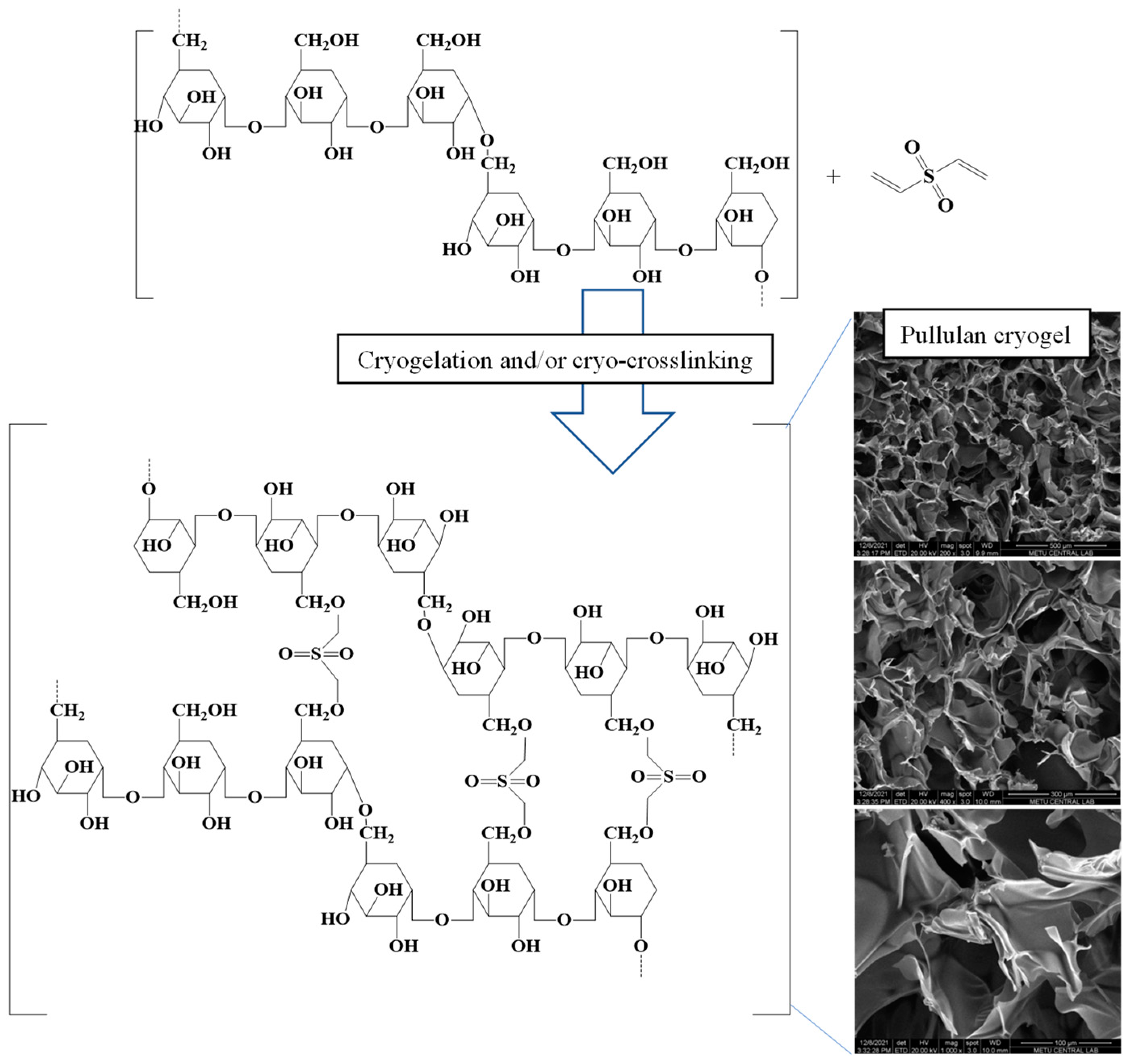 Micromachines 14 01323 g001 Micromachines 14 01323 g001