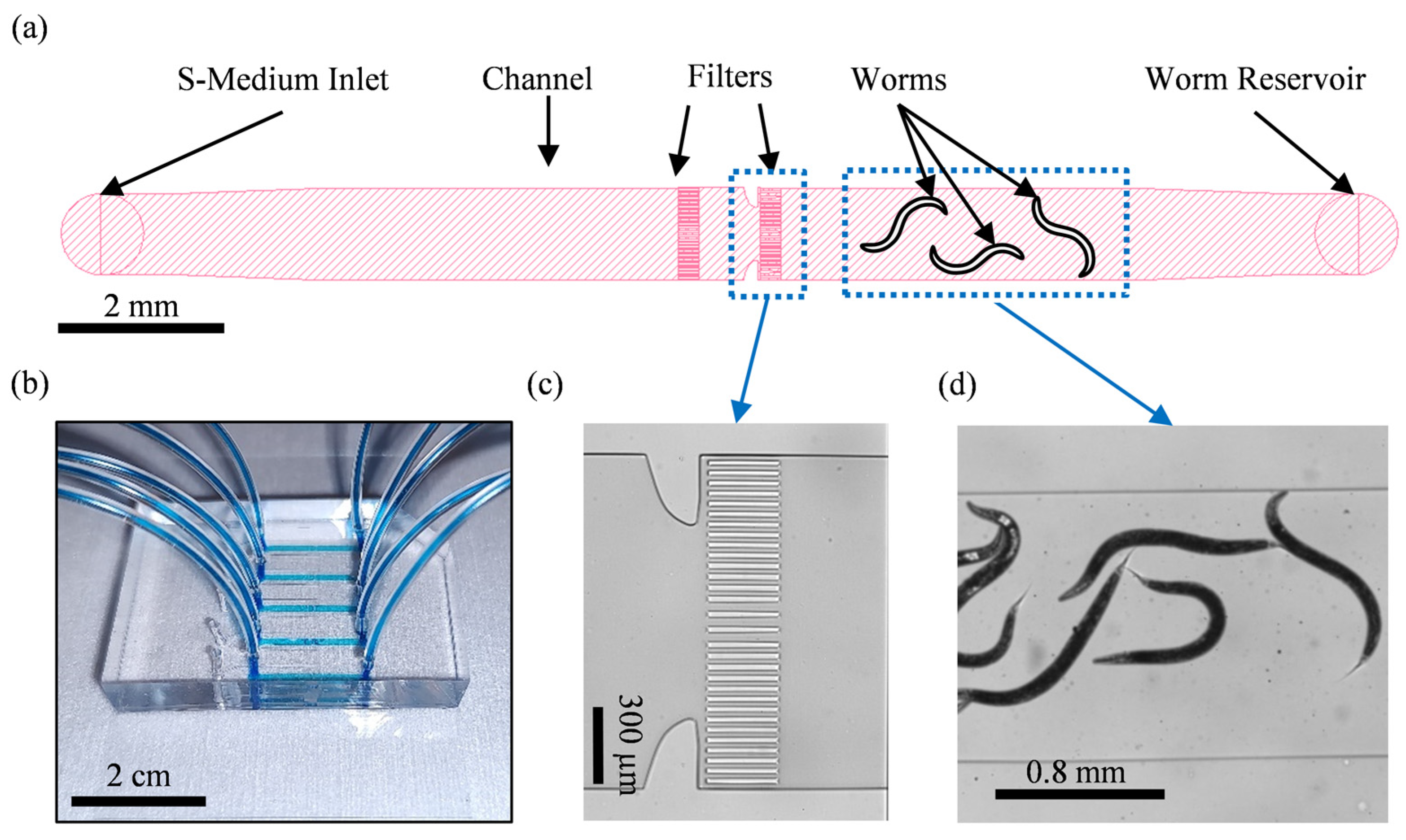 Micromachines 14 01386 g001