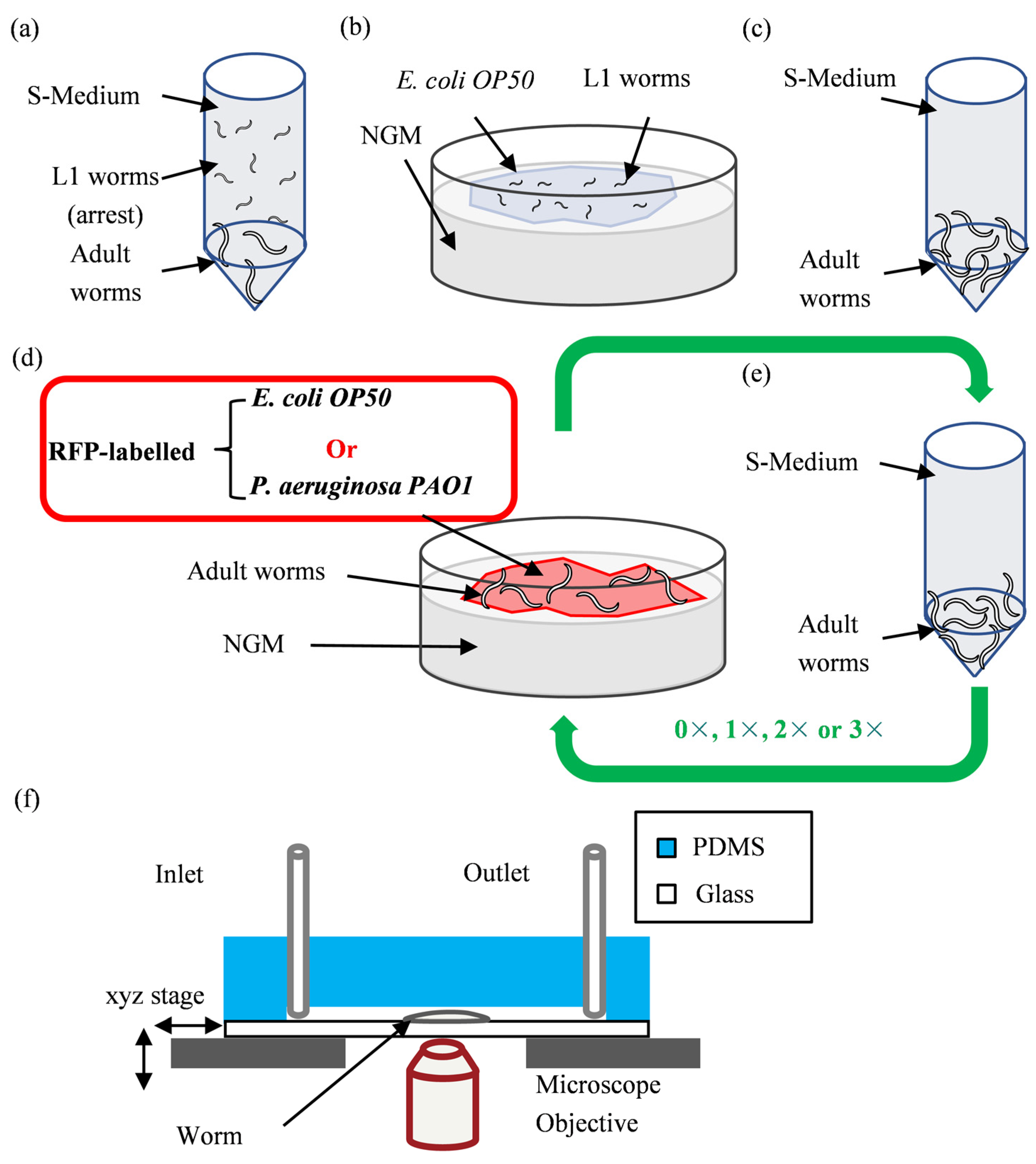 Micromachines 14 01386 g002