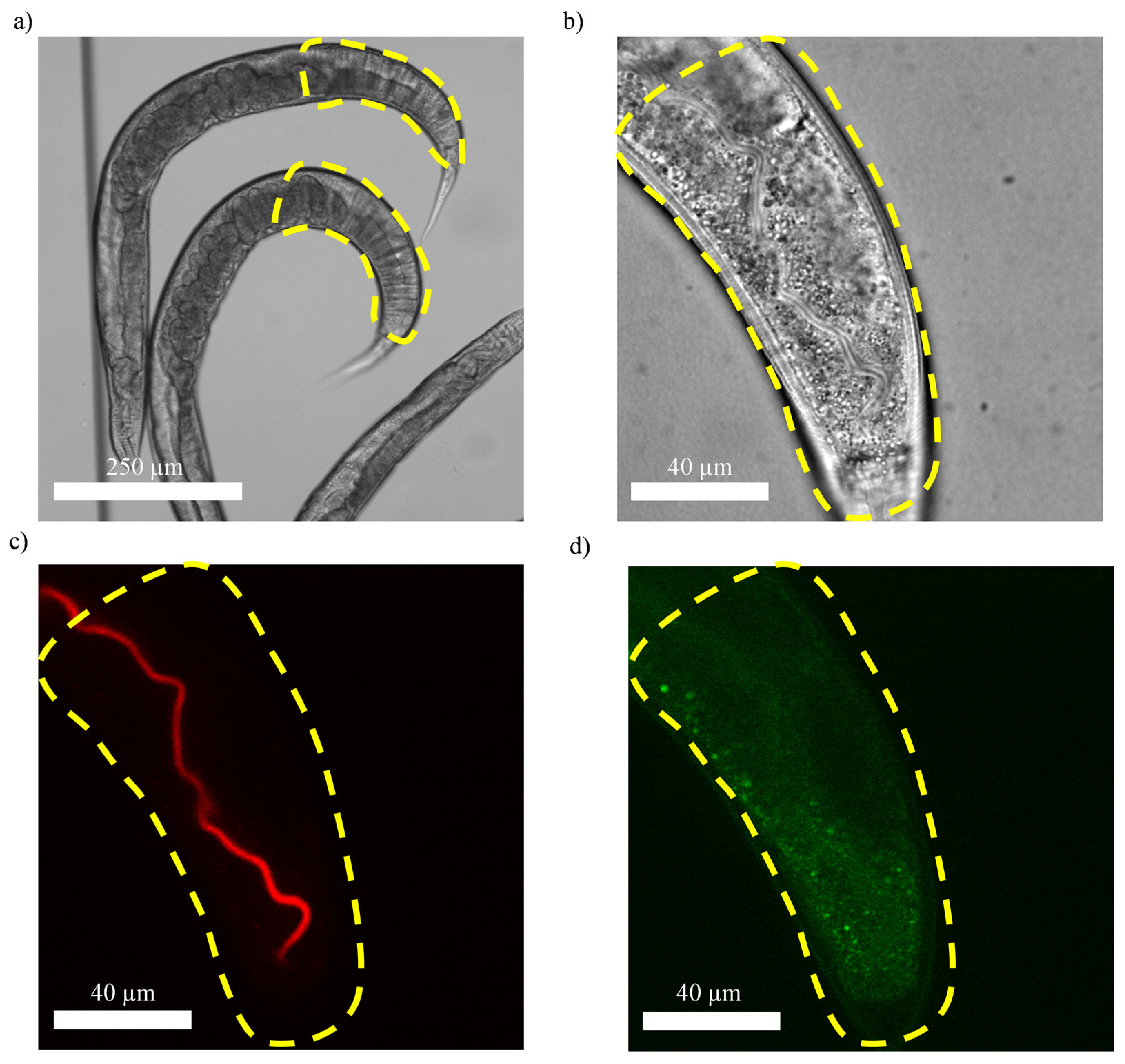 Micromachines 14 01386 g003