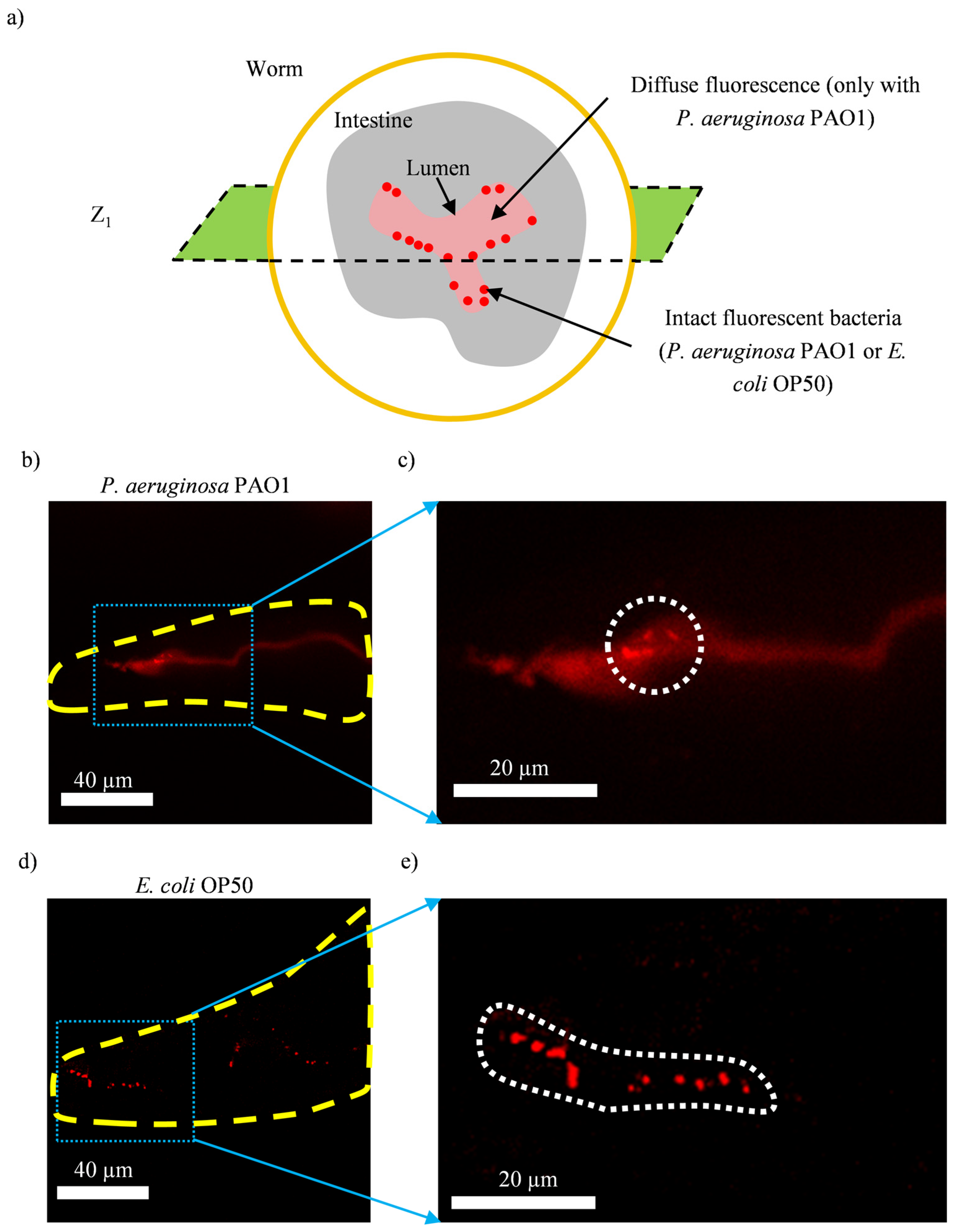 Micromachines 14 01386 g004