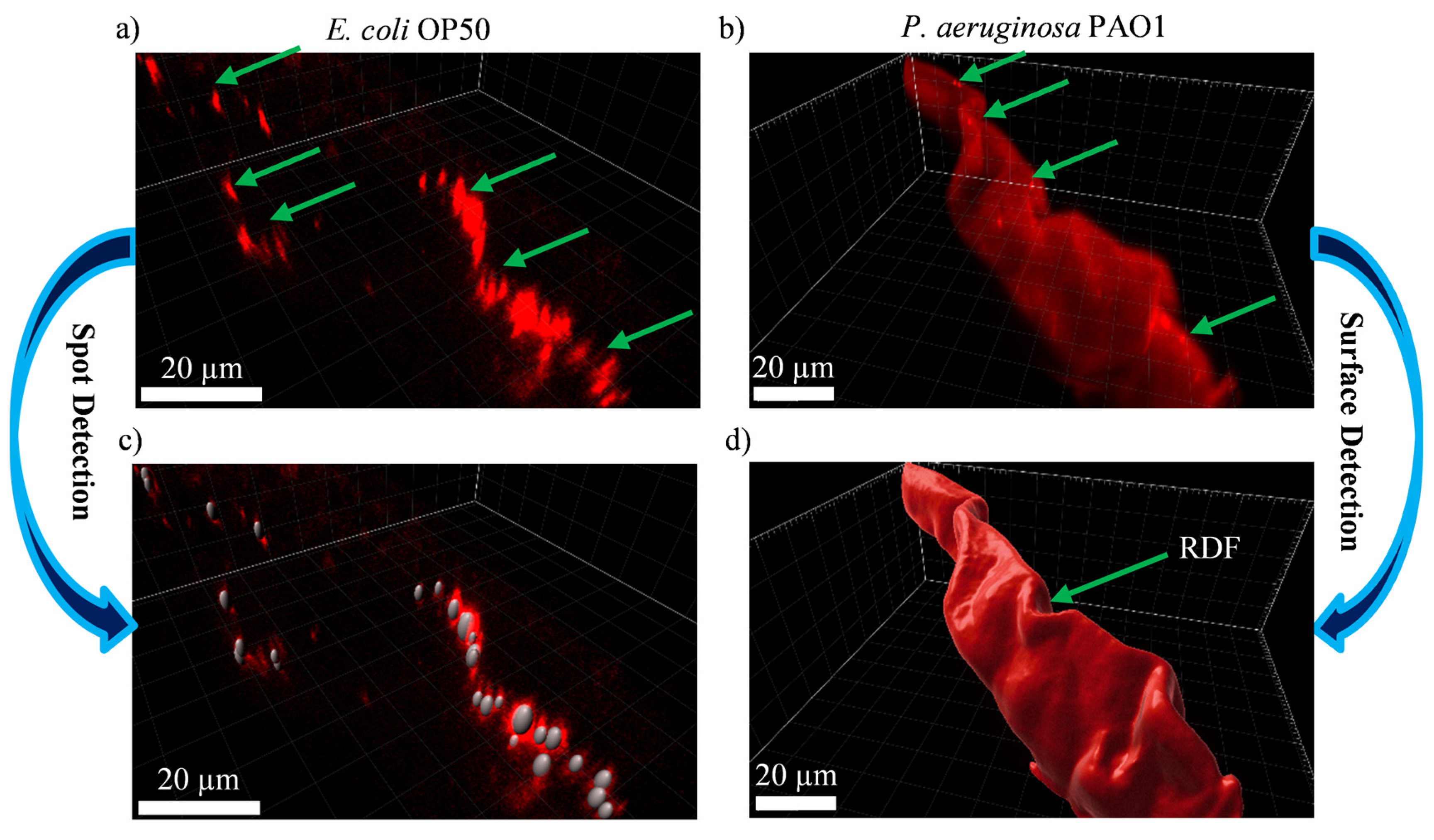 Micromachines 14 01386 g005