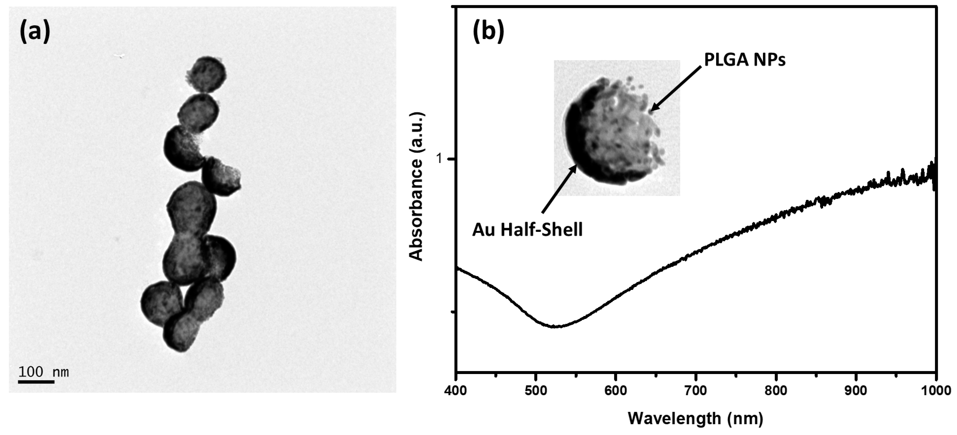 Micromachines 14 01390 g004 Micromachines 14 01390 g004