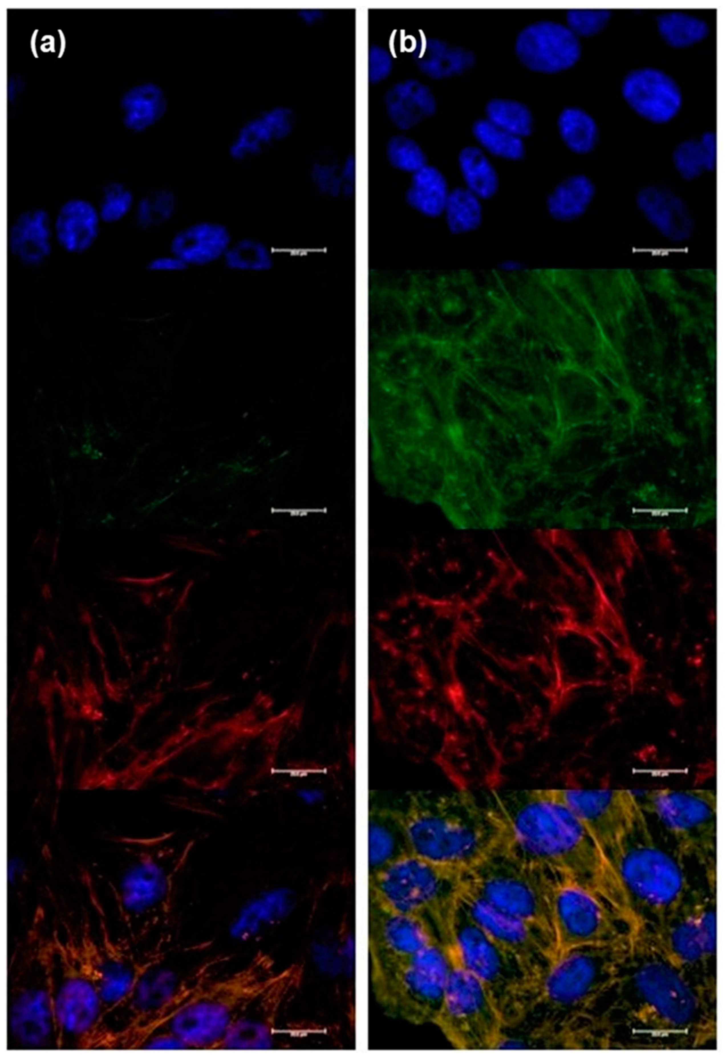 Micromachines 14 01390 g007 Micromachines 14 01390 g007