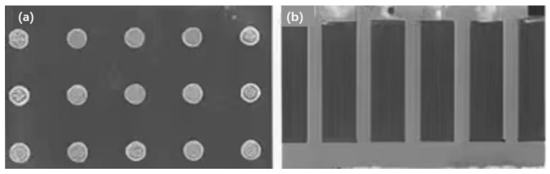Micromachines 14 01391 g024