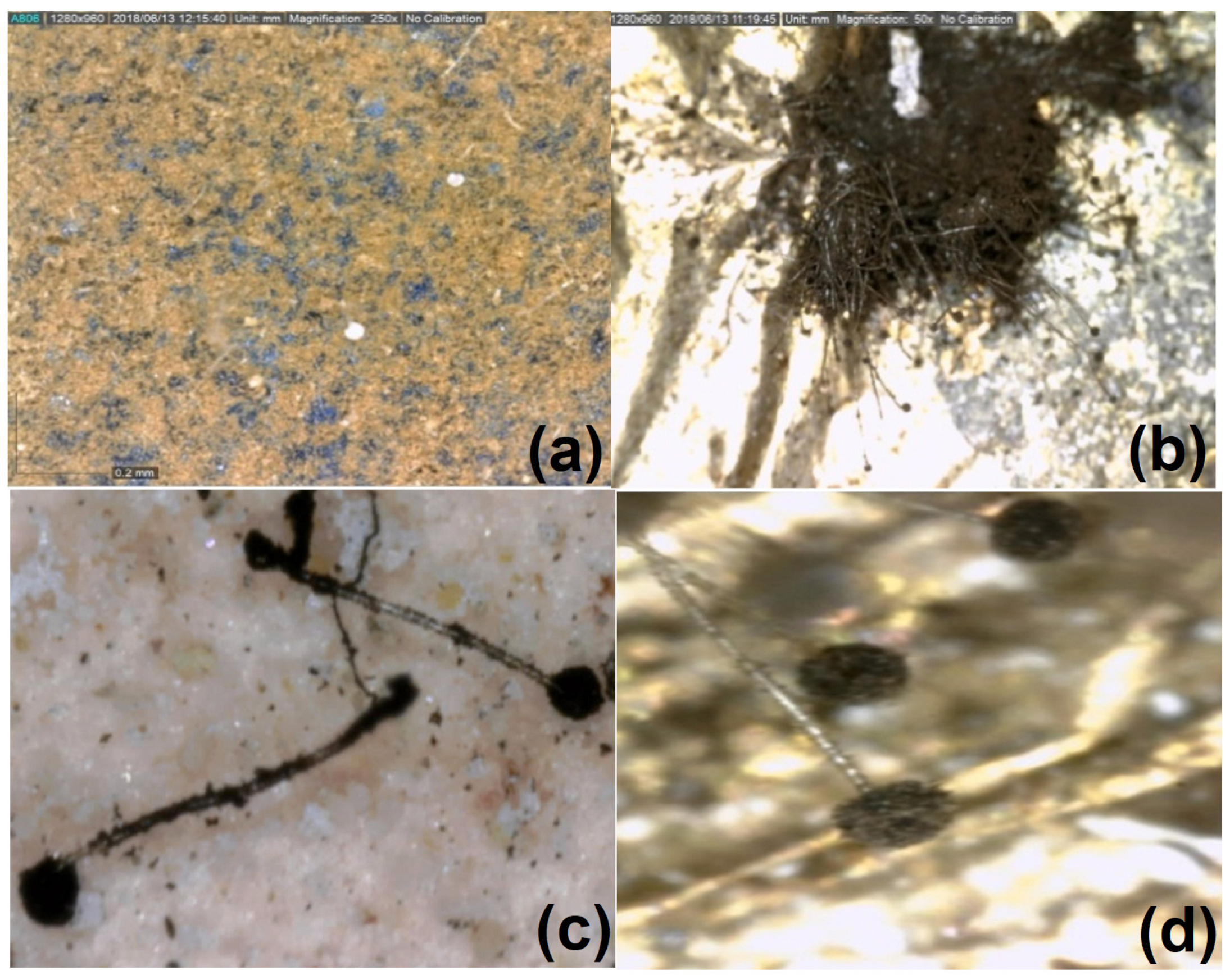 Micromachines 14 01415 g003