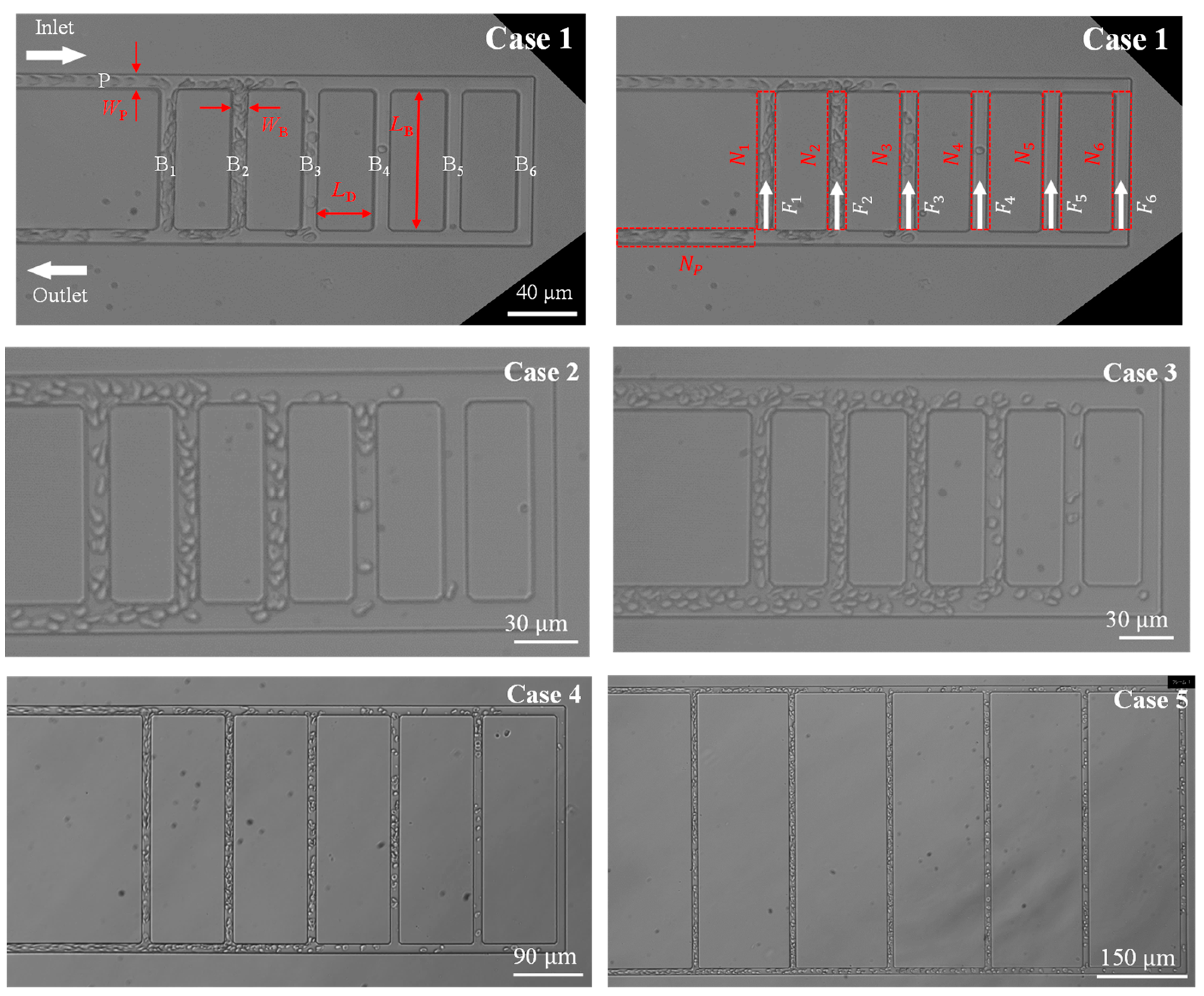 Micromachines 14 01421 g001