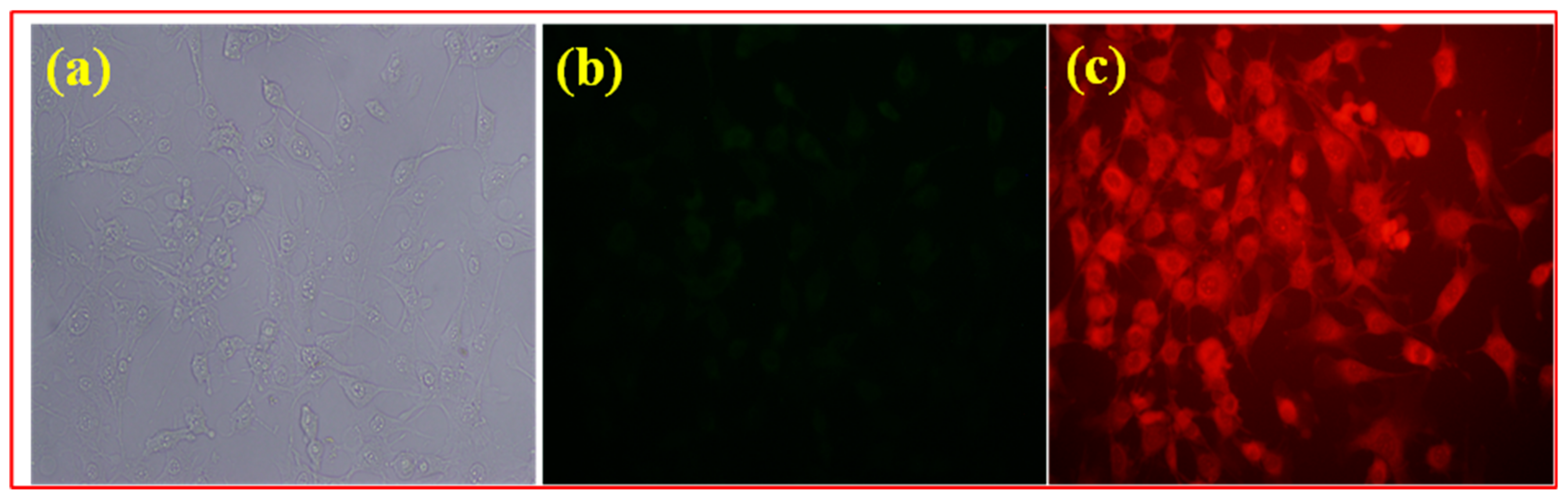 Micromachines 14 01443 g004
