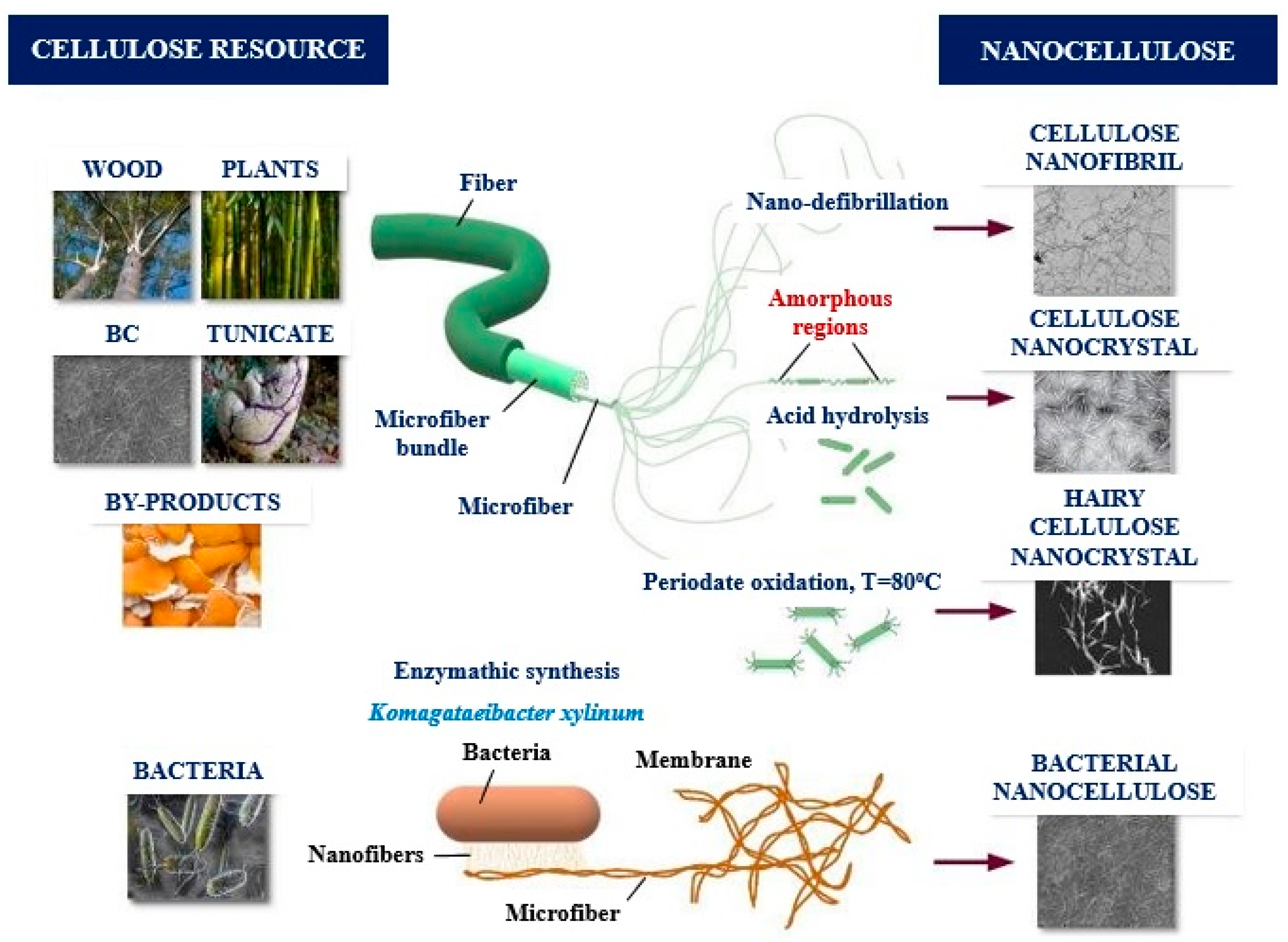 Micromachines 14 01450 g001 Micromachines 14 01450 g001