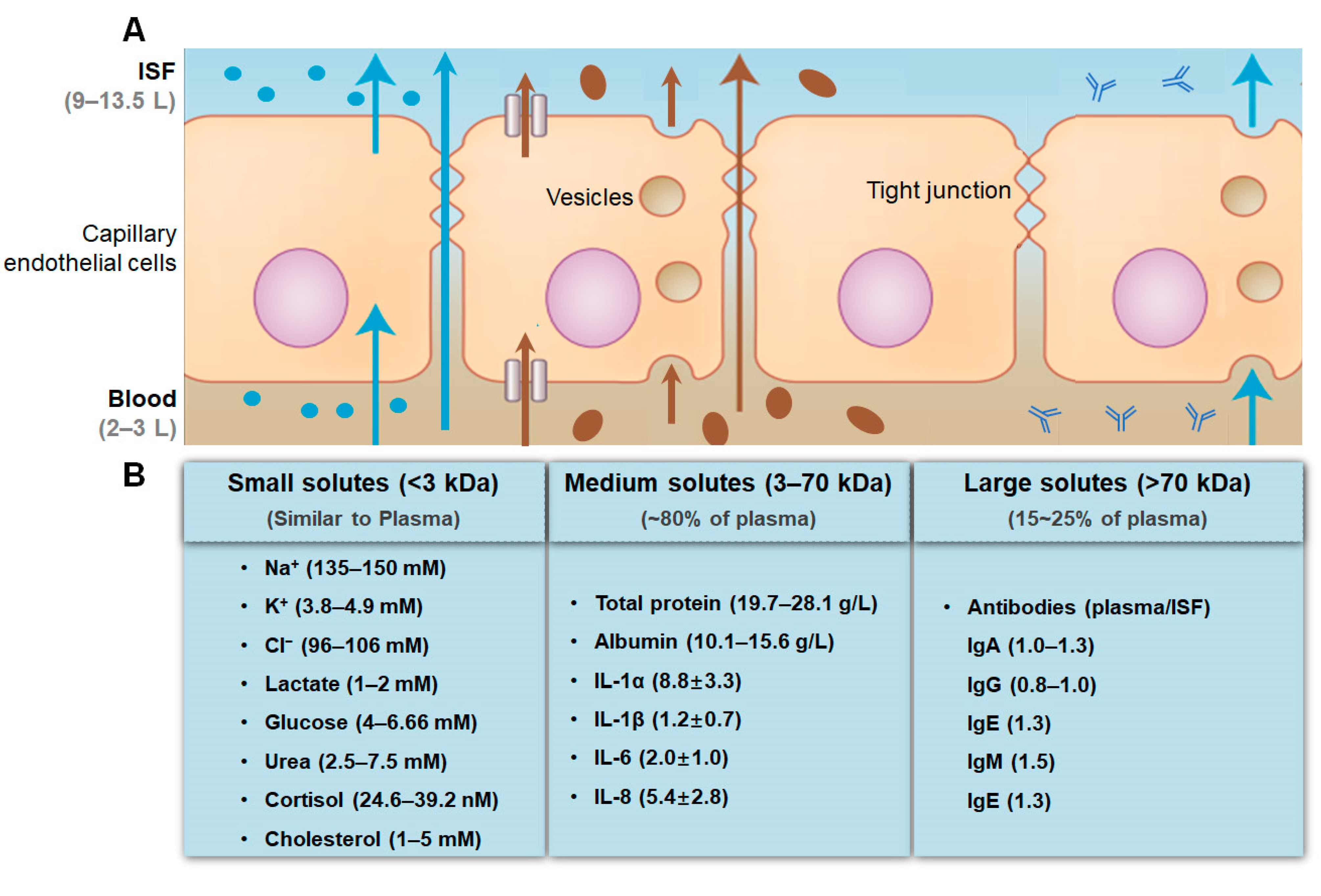 Micromachines 14 01452 g001 Micromachines 14 01452 g001