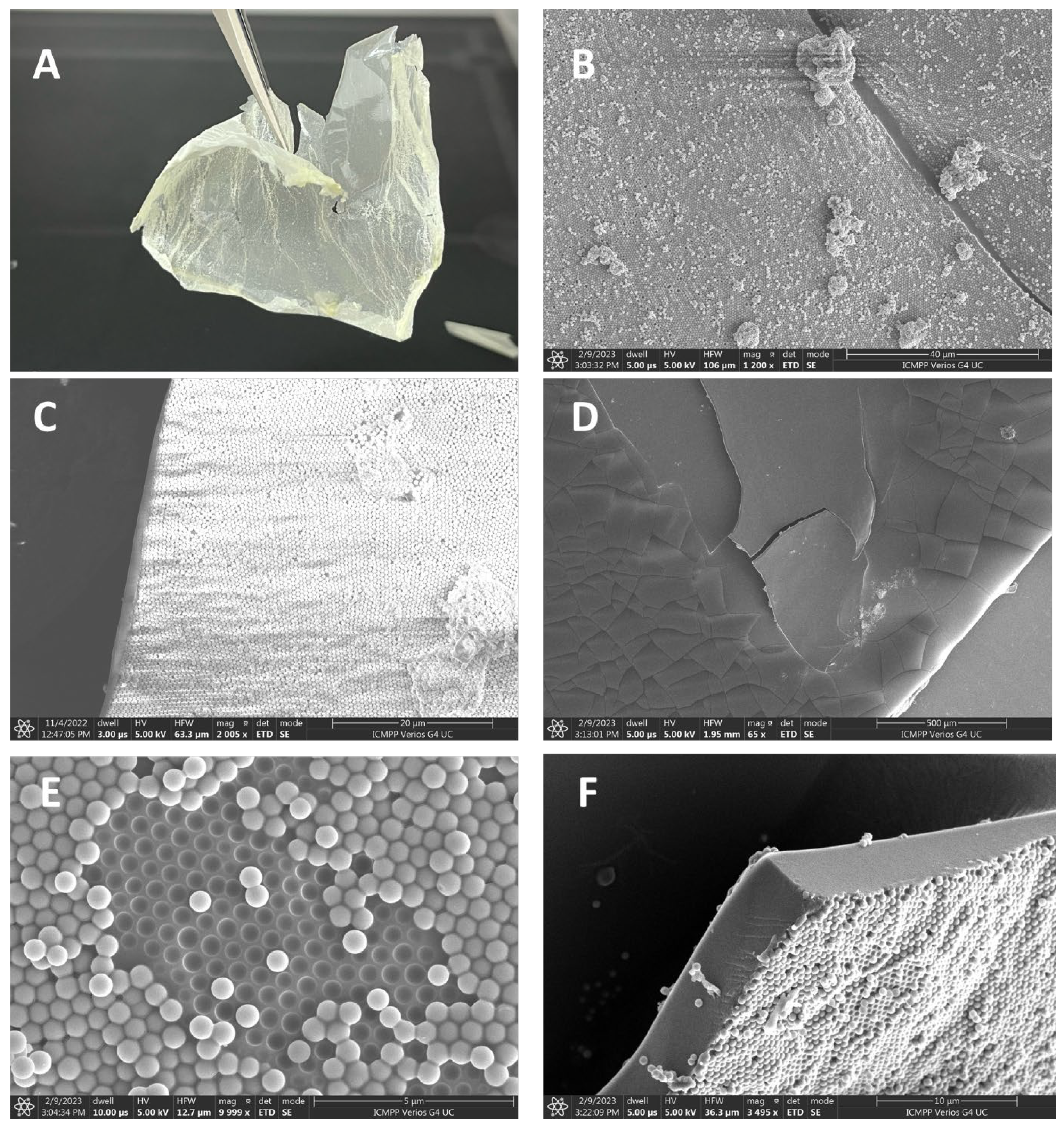 Micromachines 14 01459 g004