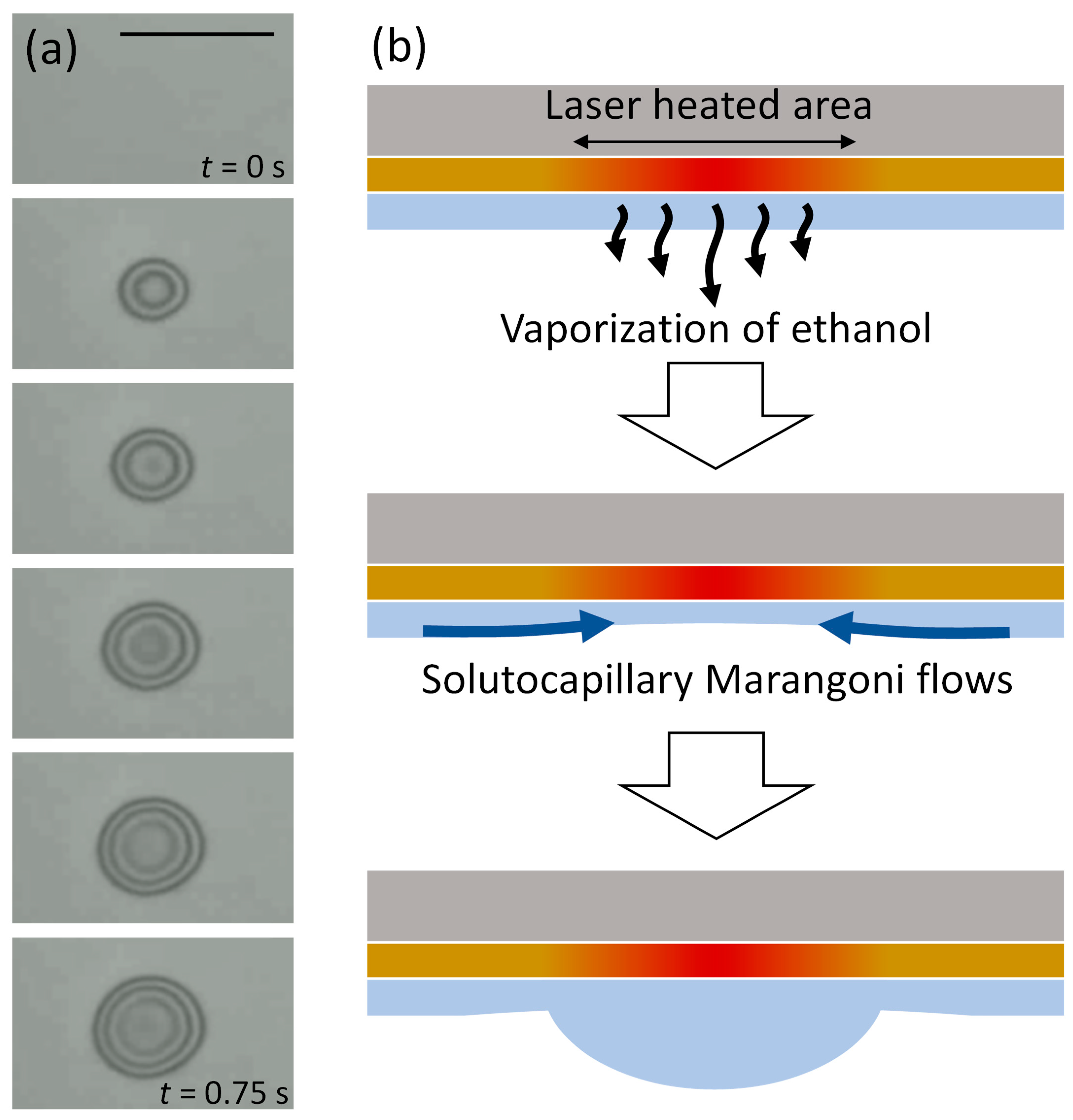 Micromachines 14 01460 g002 Micromachines 14 01460 g002