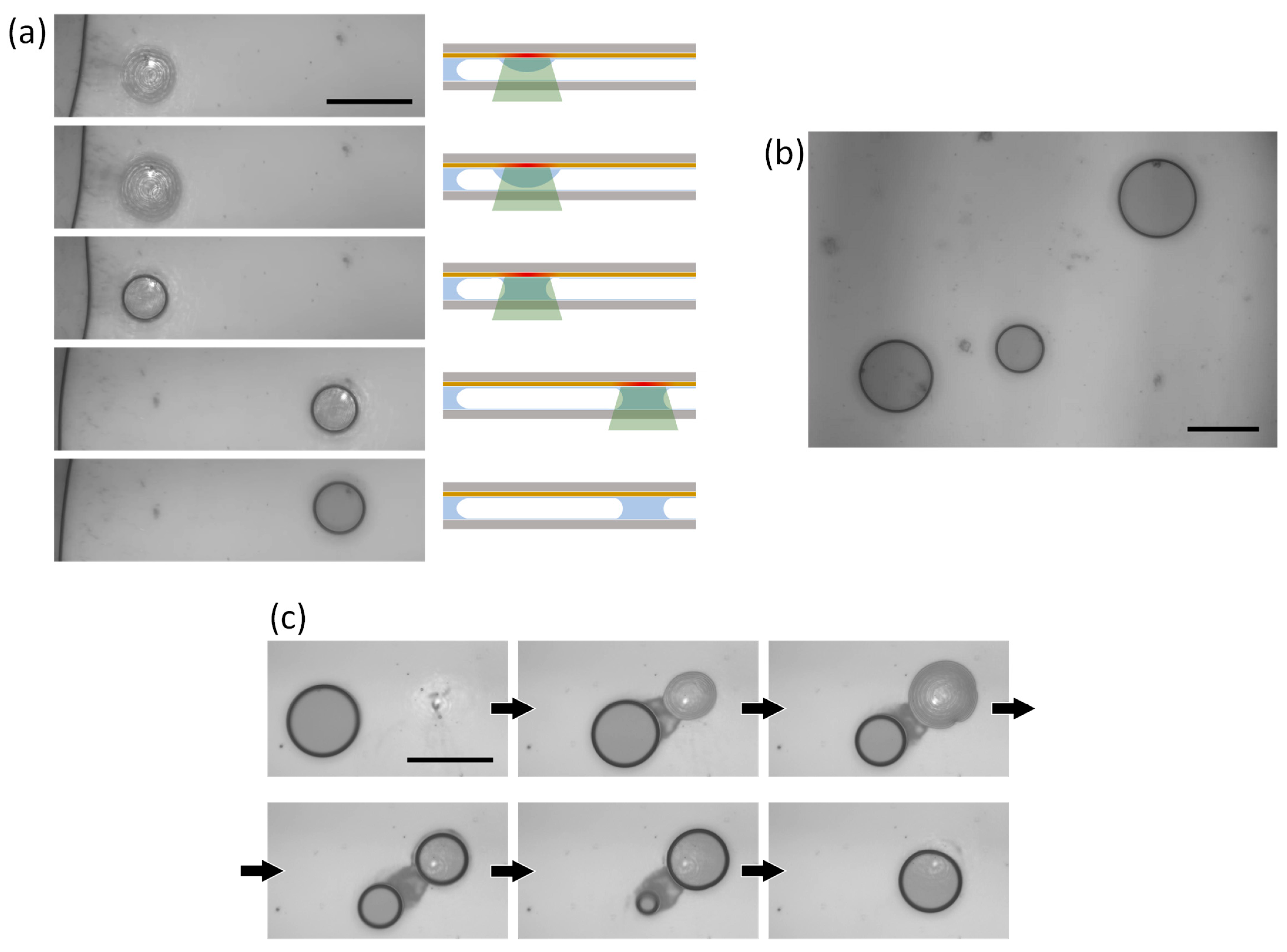 Micromachines 14 01460 g005 Micromachines 14 01460 g005