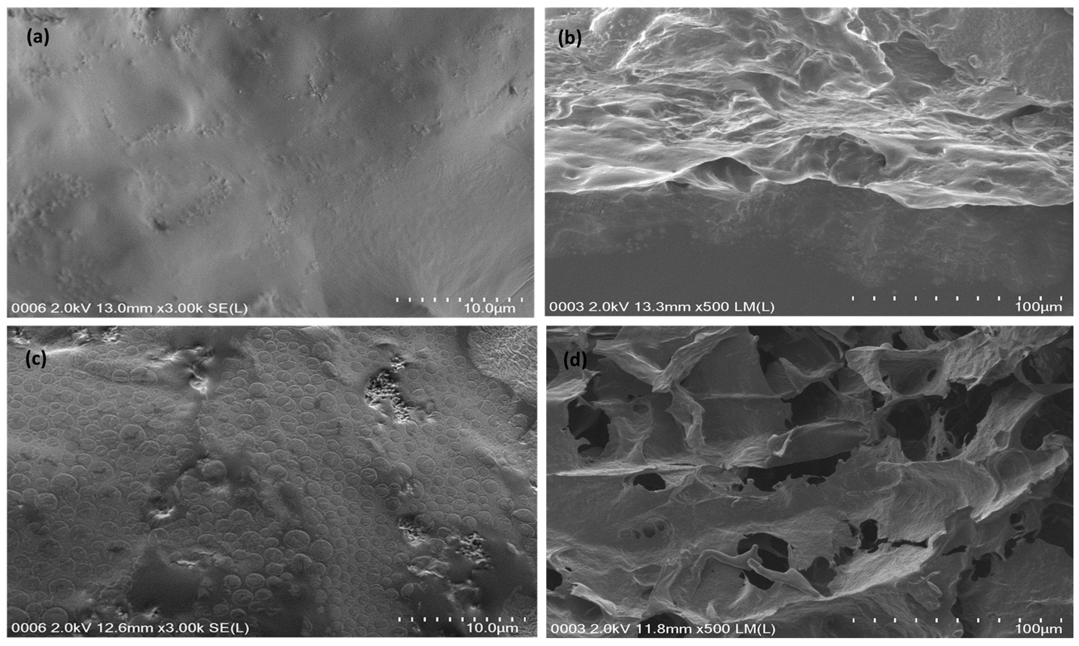 Micromachines 14 01461 g004