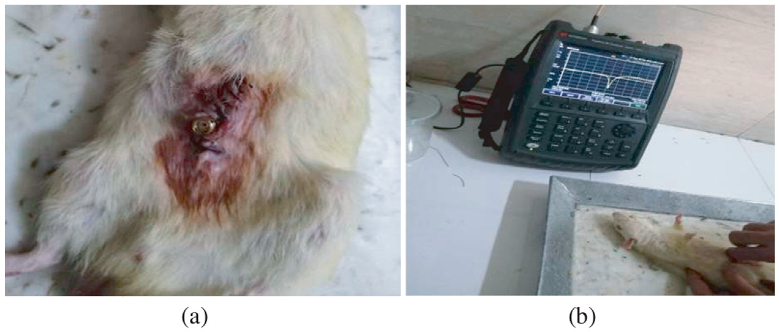 Micromachines 14 01472 g007 Micromachines 14 01472 g007