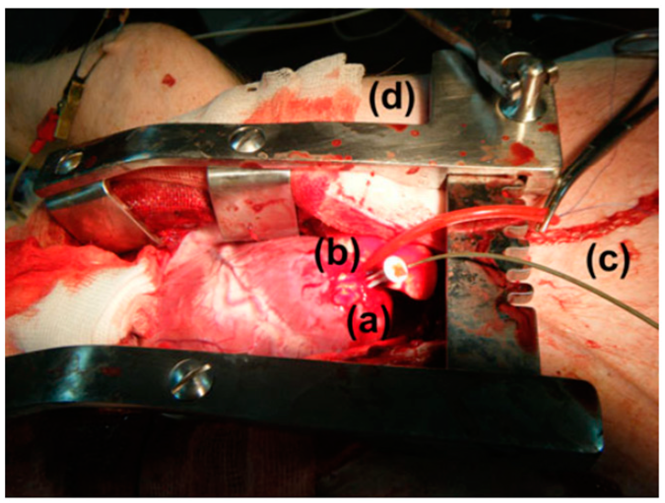 Micromachines 14 01472 g008 Micromachines 14 01472 g008
