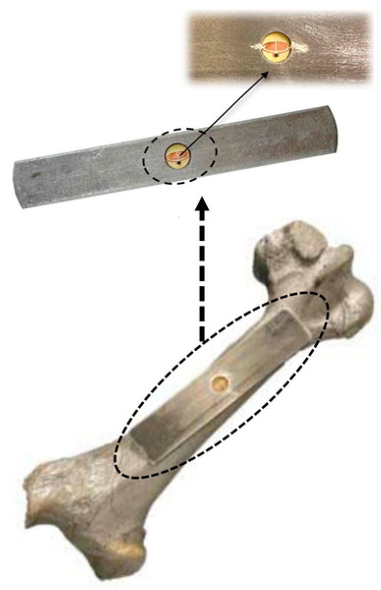 Micromachines 14 01472 g019 Micromachines 14 01472 g019