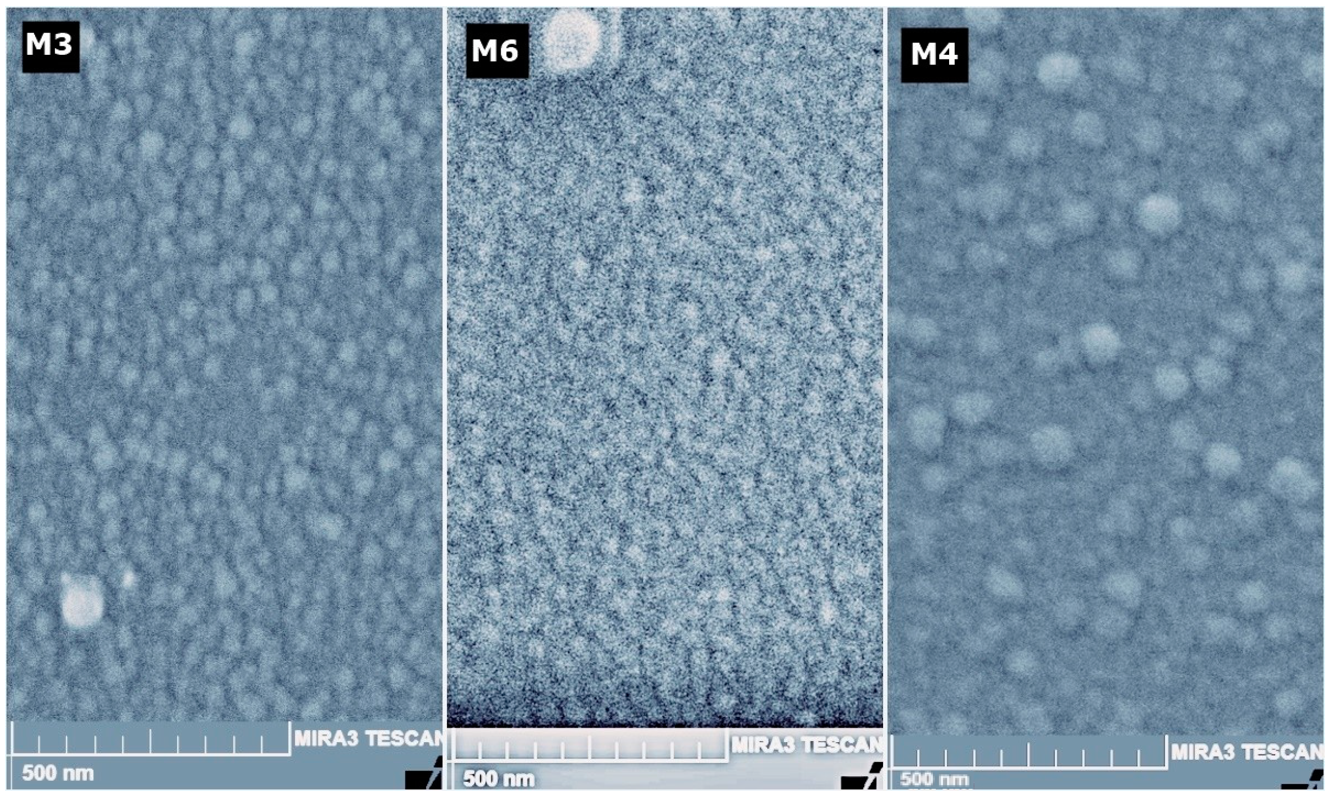 Micromachines 14 01483 g010