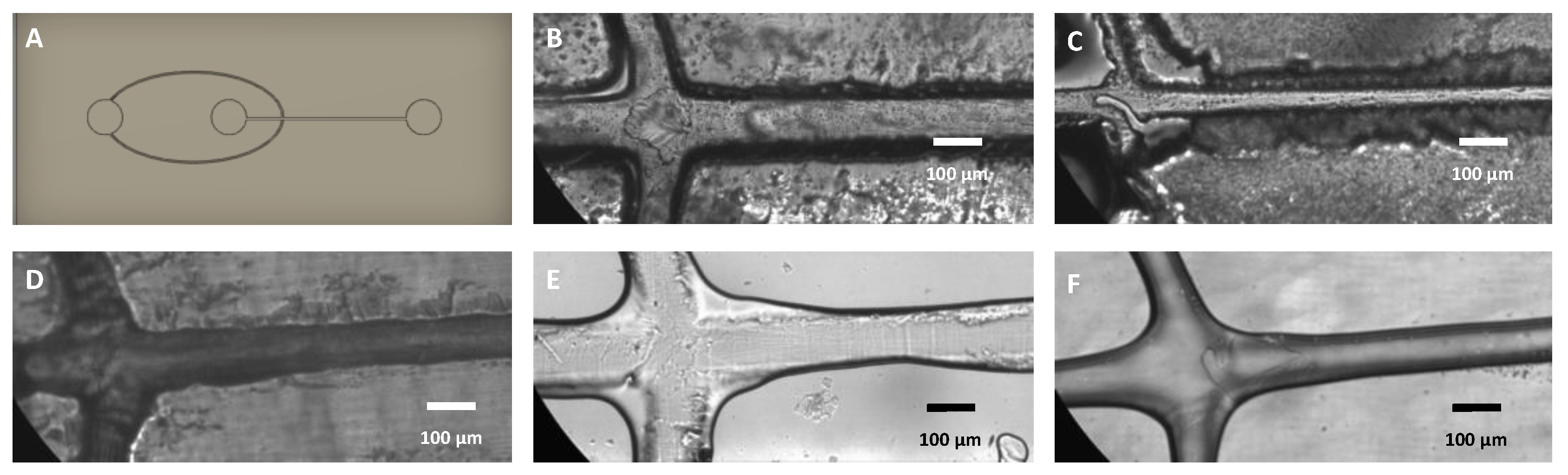Micromachines 14 01519 g013