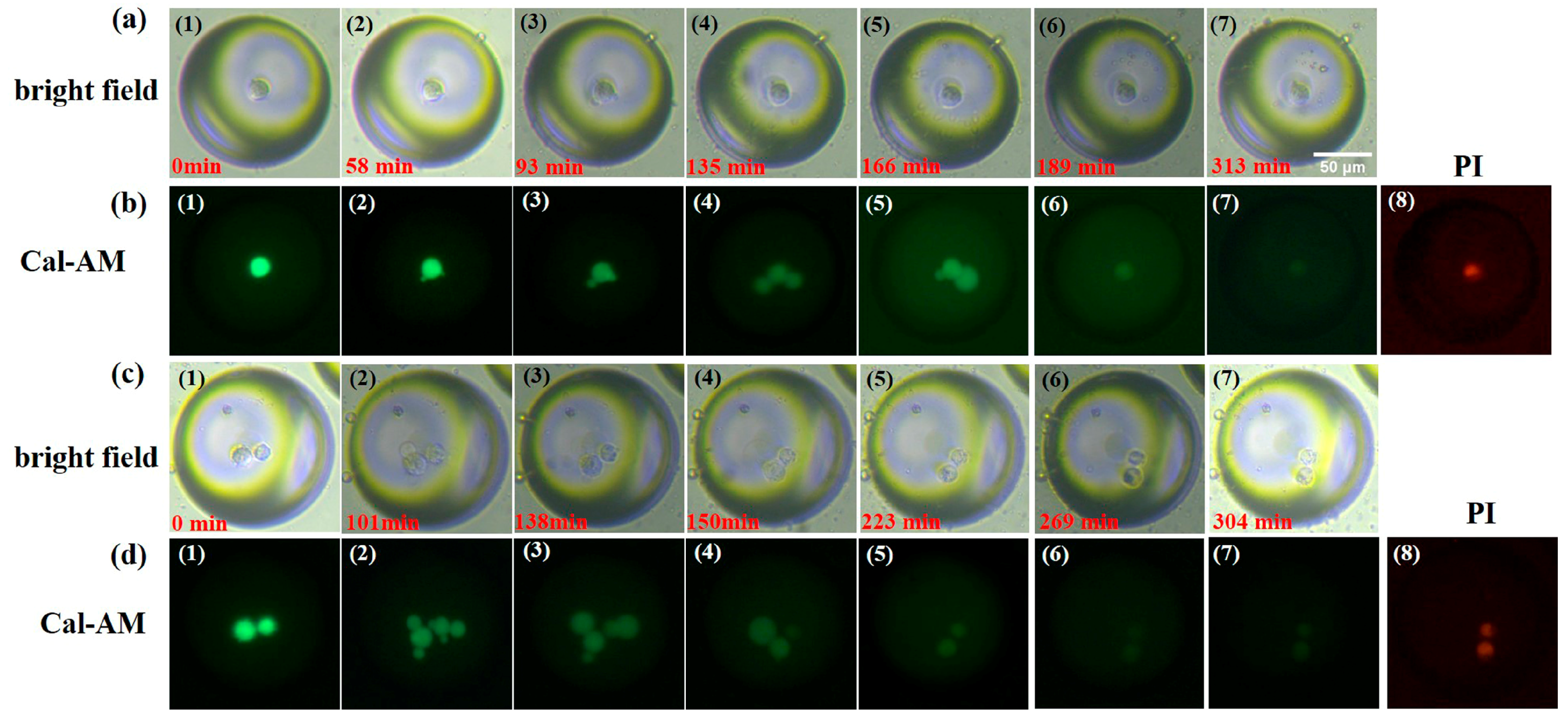 Micromachines 14 01521 g006 Micromachines 14 01521 g006