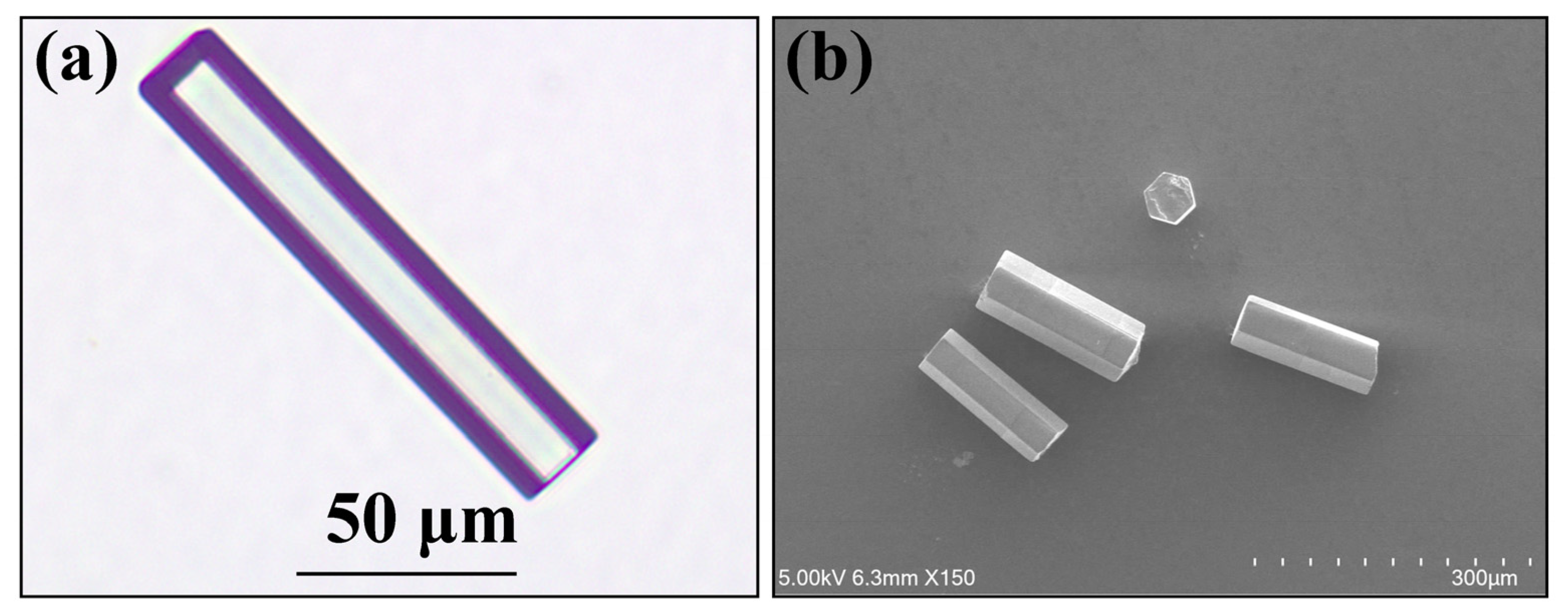 Micromachines 14 01528 g001 Micromachines 14 01528 g001