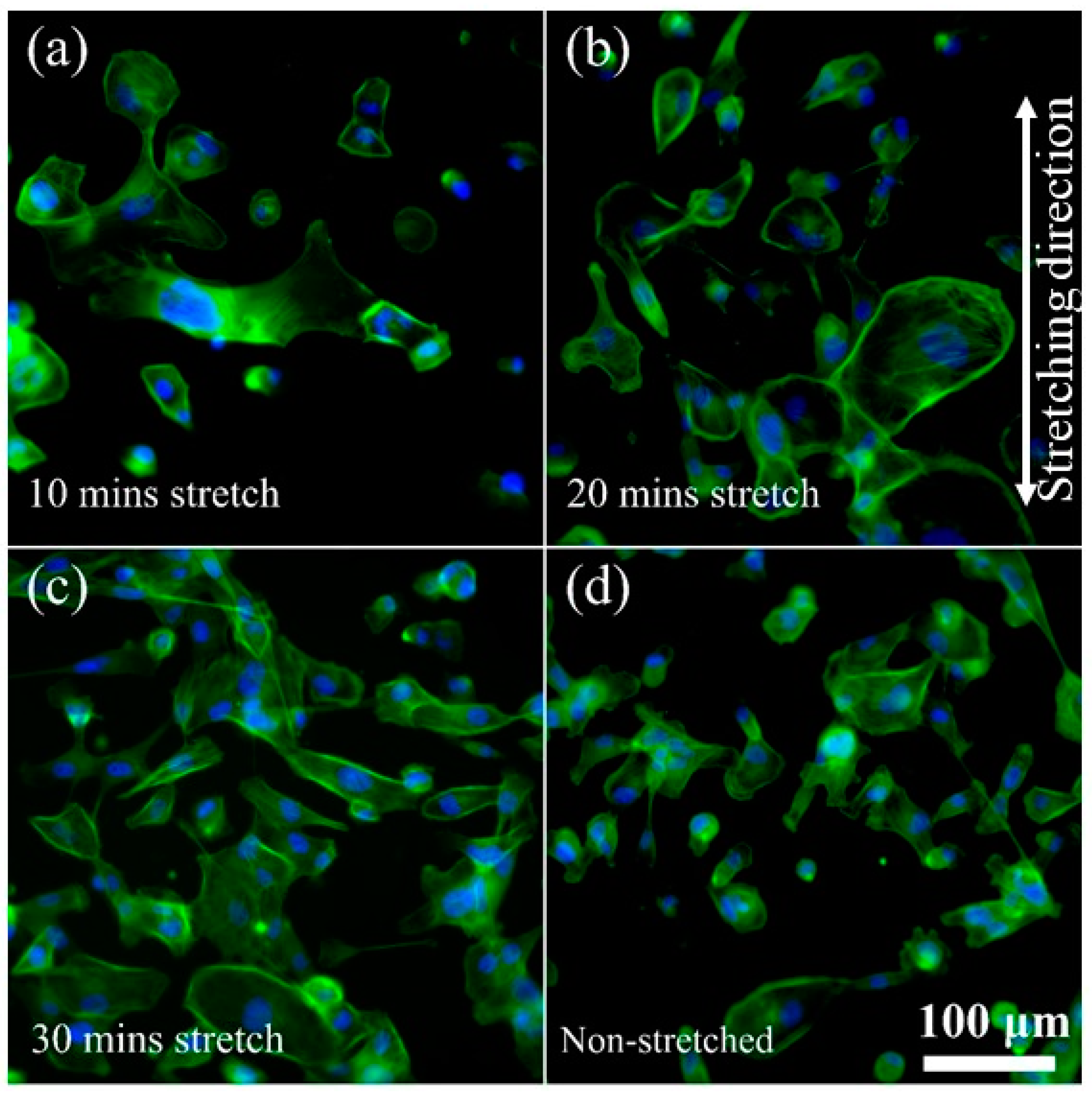 Micromachines 14 01537 g004 Micromachines 14 01537 g004