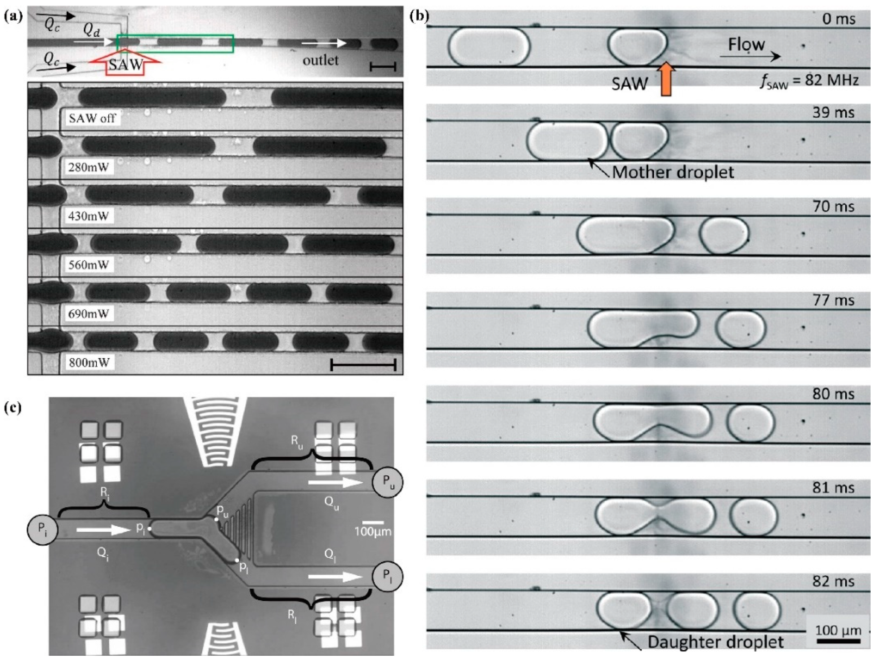 Micromachines 14 01543 g012
