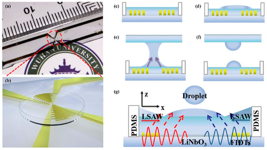 A Comprehensive Review of Surface Acoustic Wave-Enabled Acoustic ...