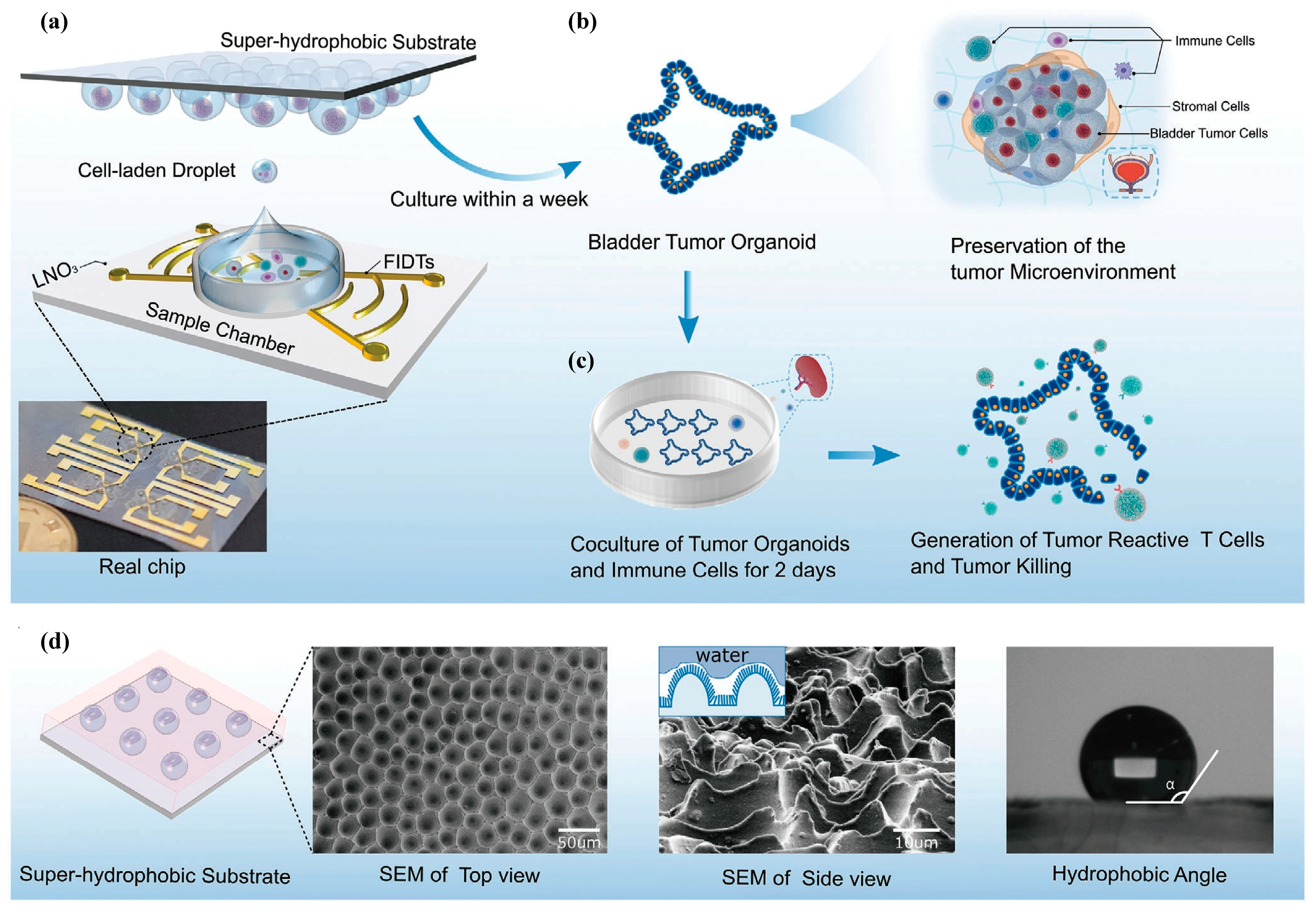 Micromachines 14 01543 g015