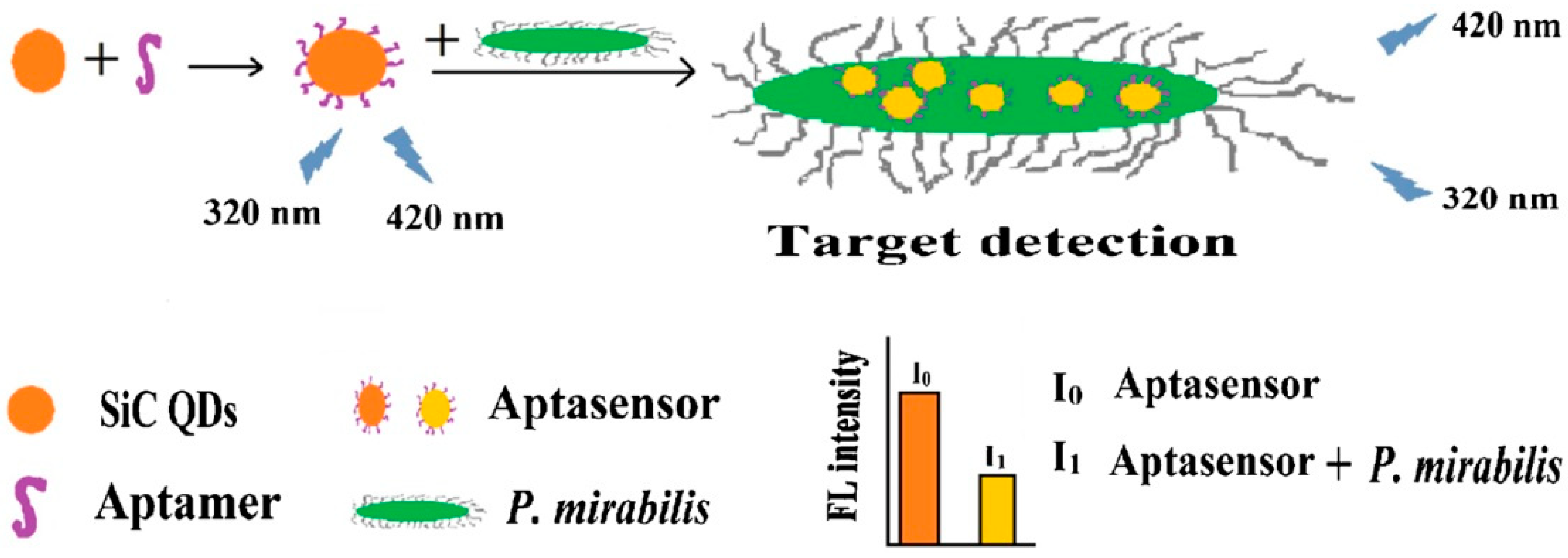 Micromachines 14 01557 g001