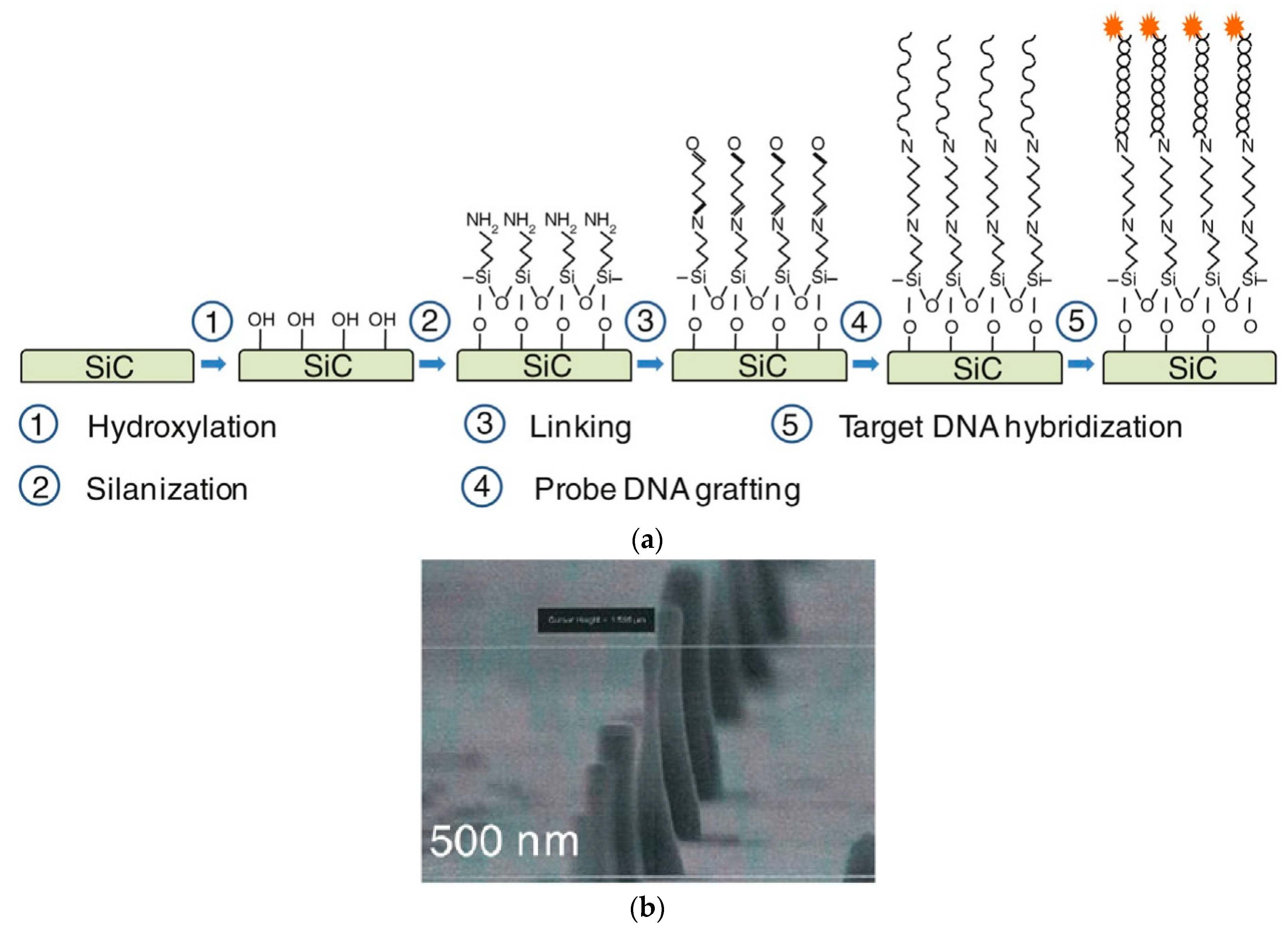 Micromachines 14 01557 g005