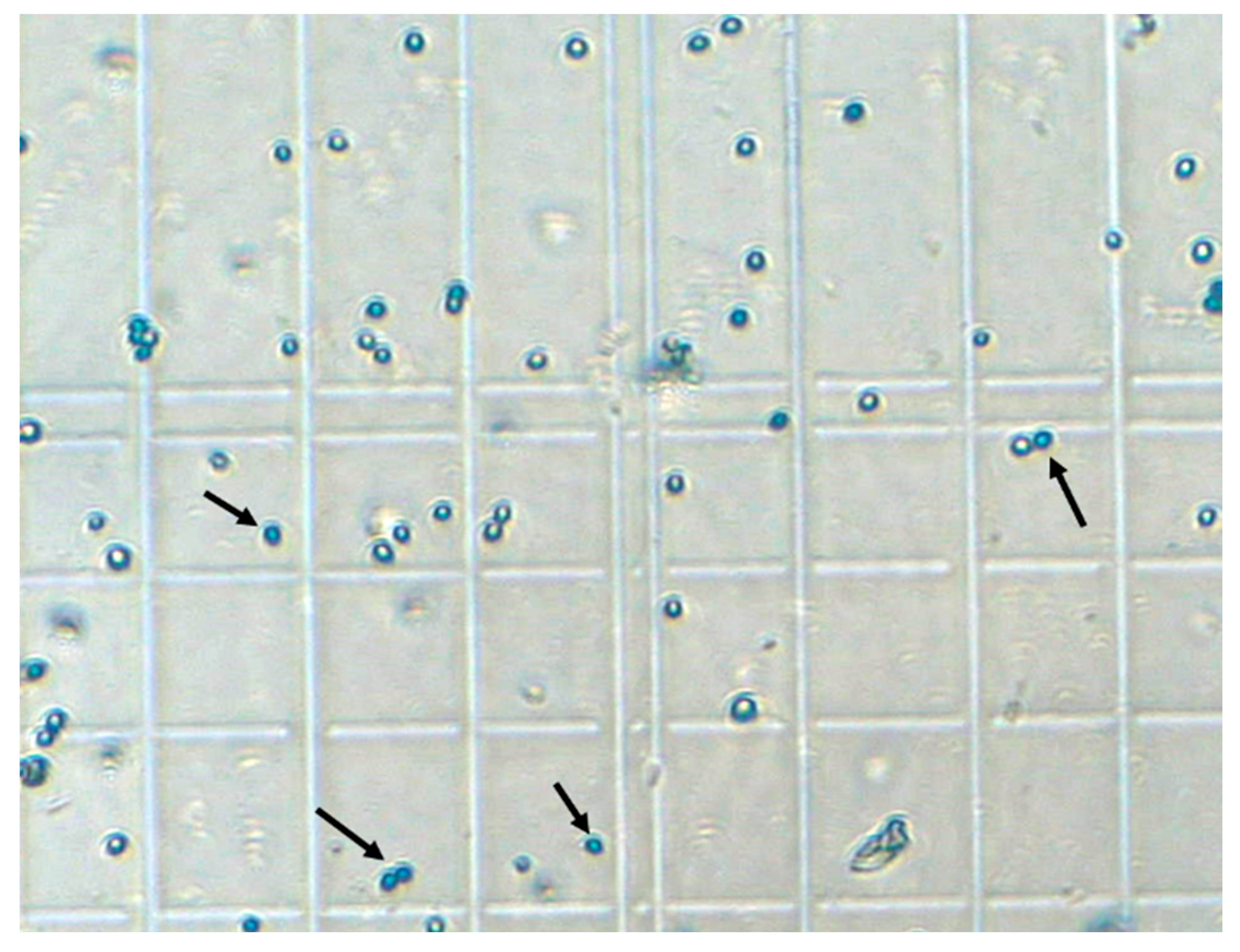 Micromachines 14 01570 g006 Micromachines 14 01570 g006