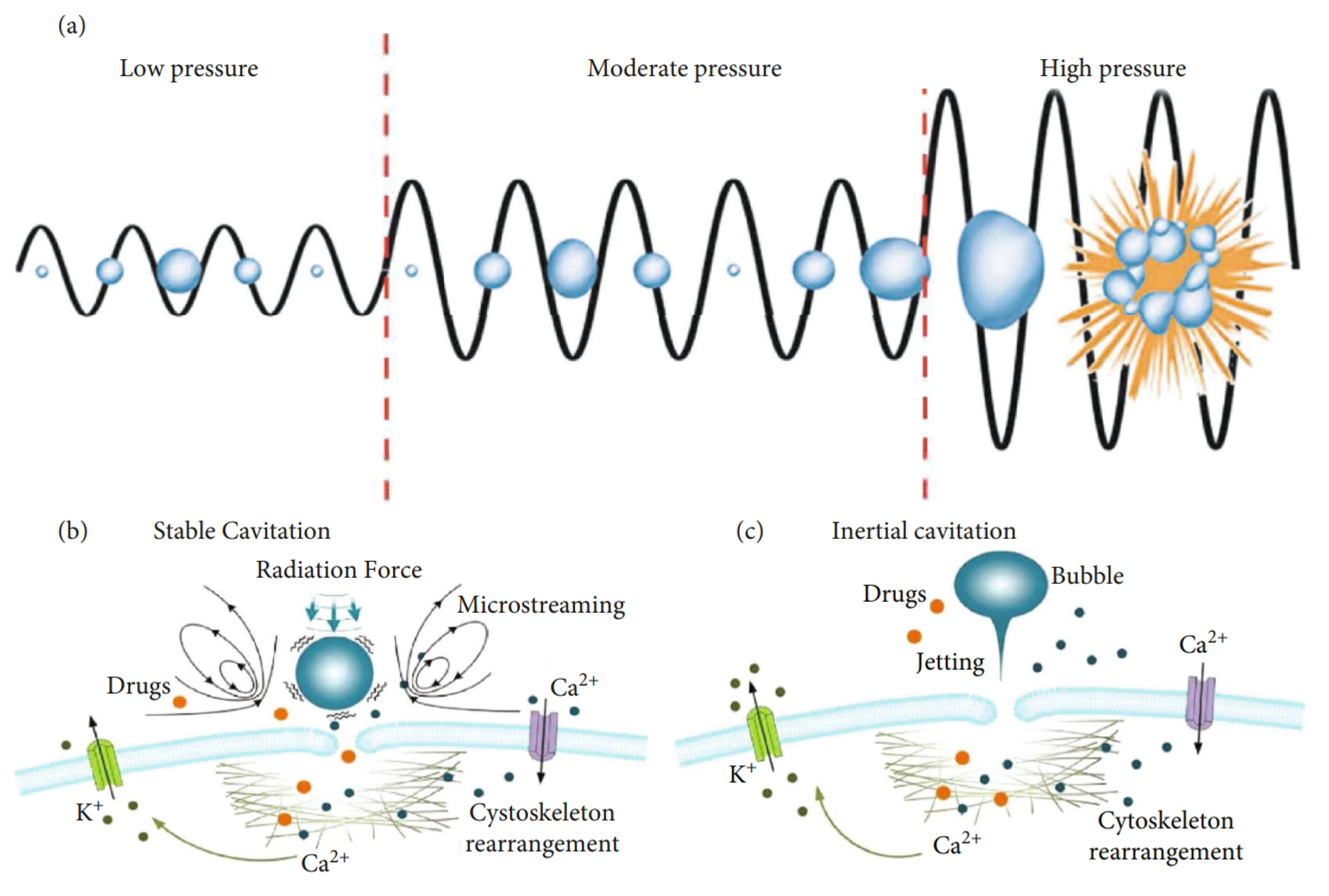Micromachines 14 01575 g002 Micromachines 14 01575 g002