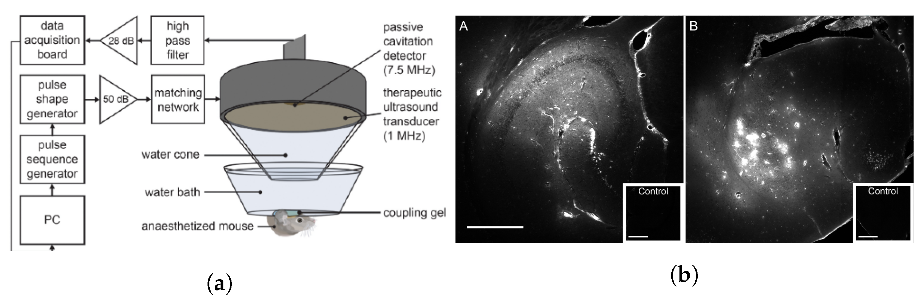 Micromachines 14 01575 g003 Micromachines 14 01575 g003